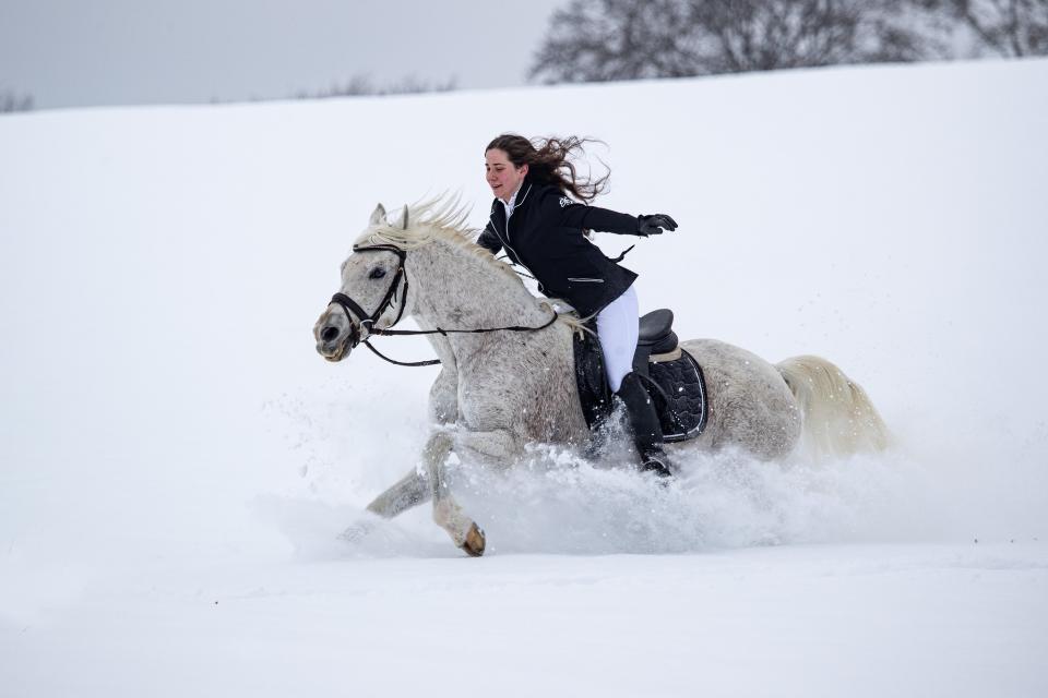 Free download high resolution image - free image free photo free stock image public domain picture  Young woman riding Latvian horse breed