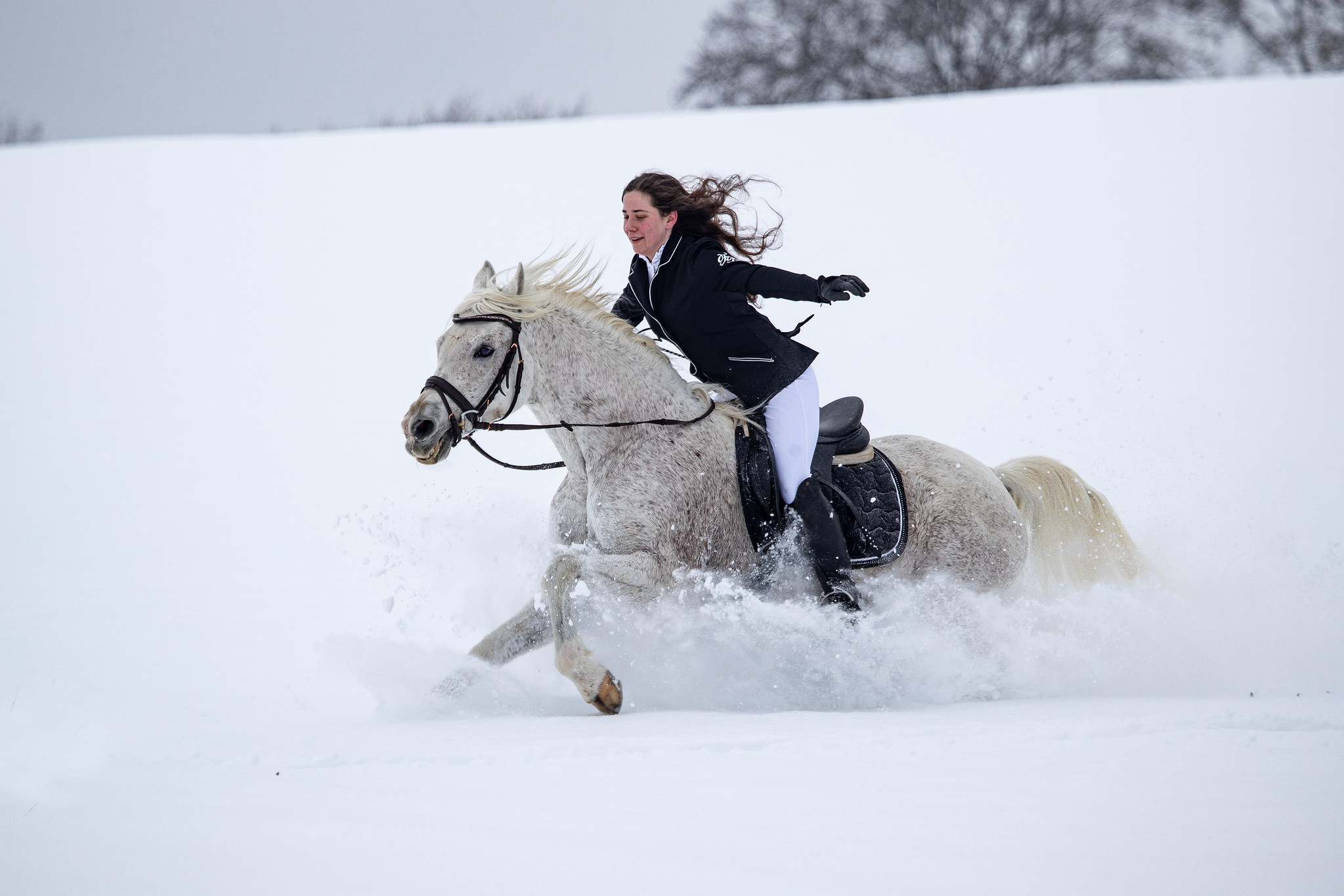 Free download high resolution image - free image free photo free stock image public domain picture -Young woman riding Latvian horse breed