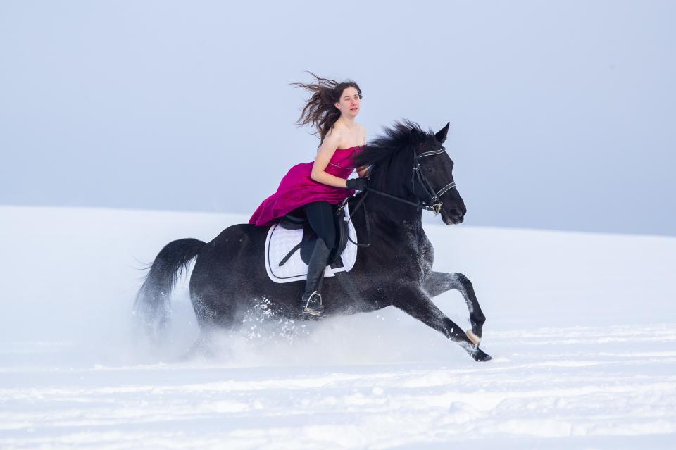 Free download high resolution image - free image free photo free stock image public domain picture  Young woman riding Latvian horse breed