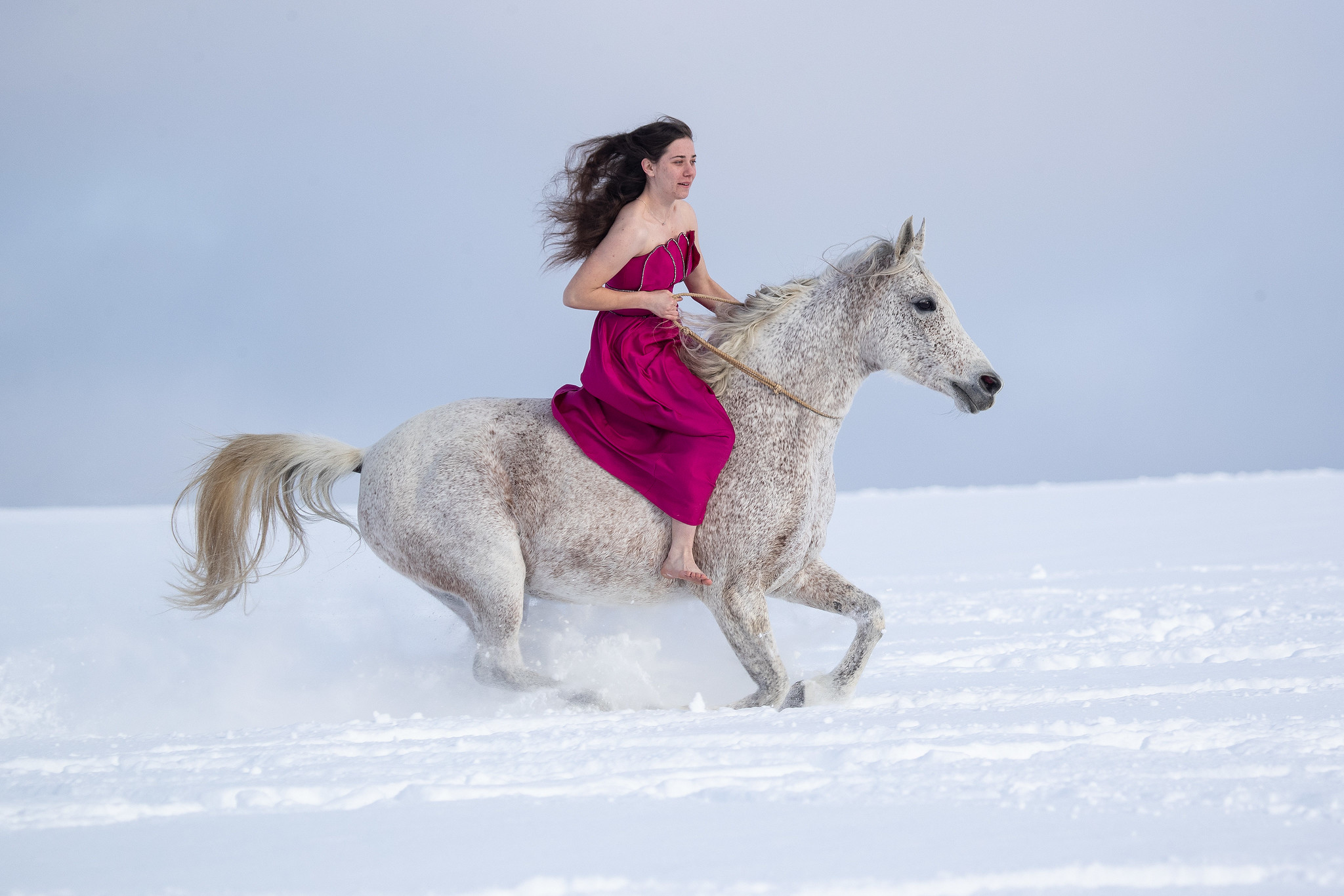 Free download high resolution image - free image free photo free stock image public domain picture -Young woman riding Latvian horse breed