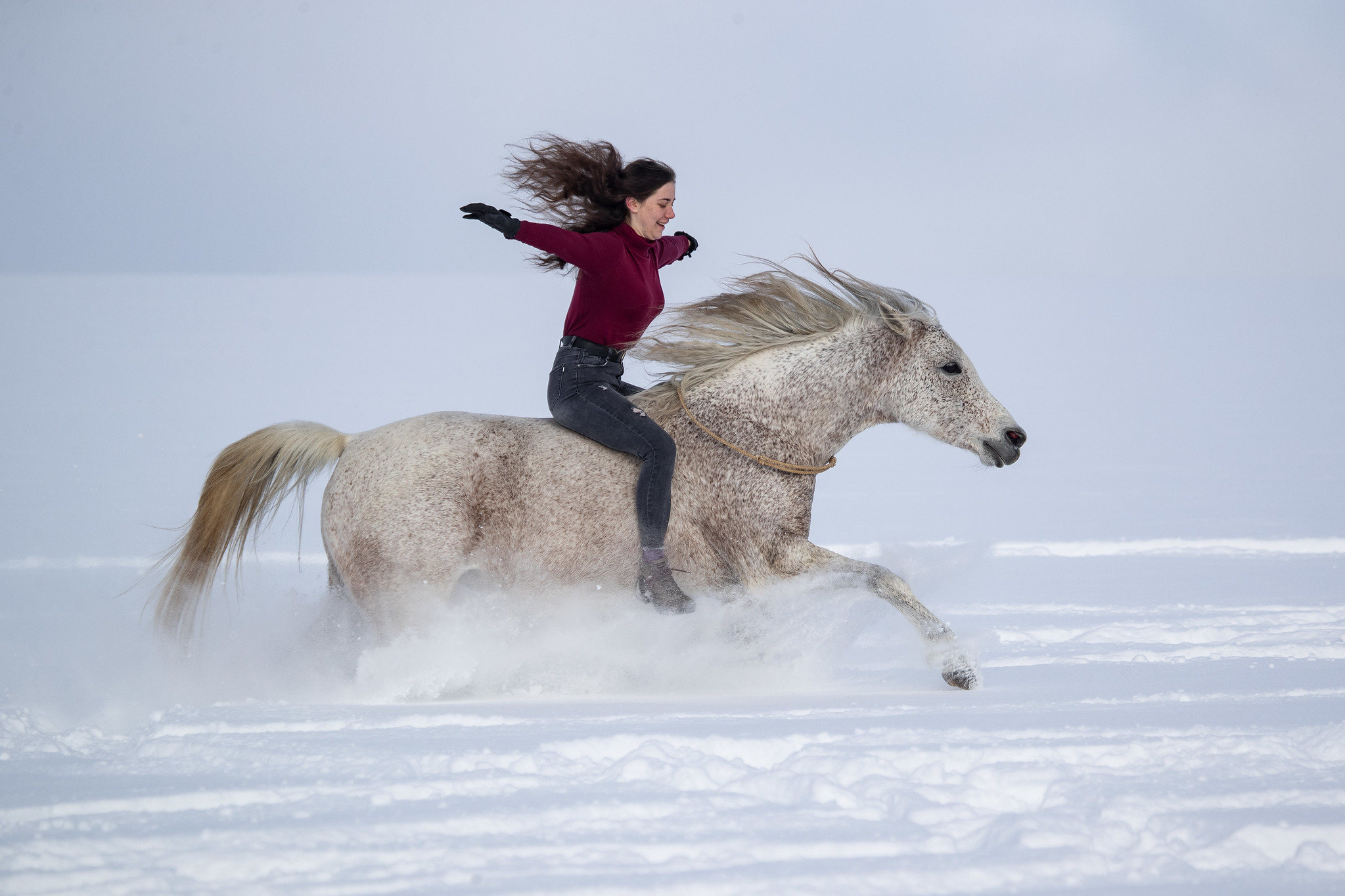 Free download high resolution image - free image free photo free stock image public domain picture -Young woman riding Latvian horse breed