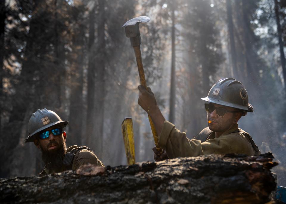 Free download high resolution image - free image free photo free stock image public domain picture  Caldor Fire, El Dorado National Forest