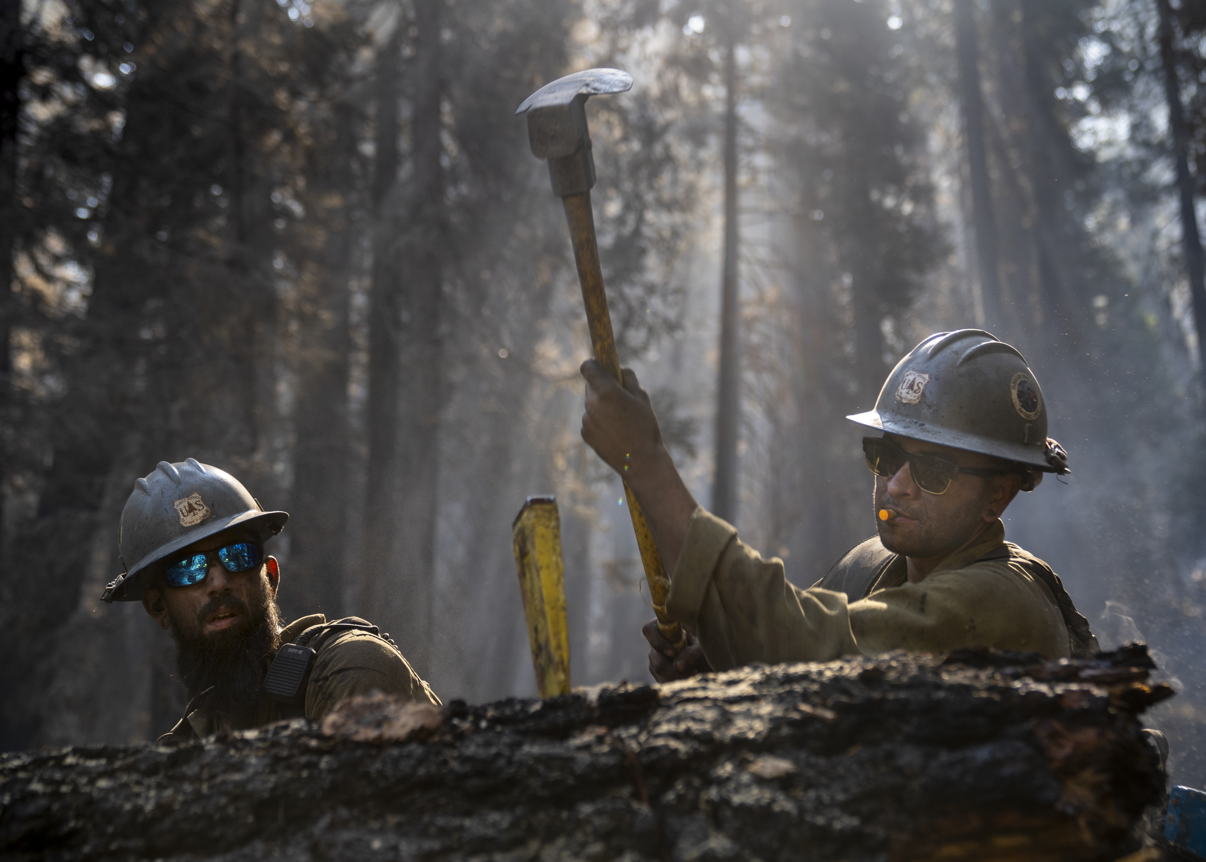 Free download high resolution image - free image free photo free stock image public domain picture -Caldor Fire, El Dorado National Forest