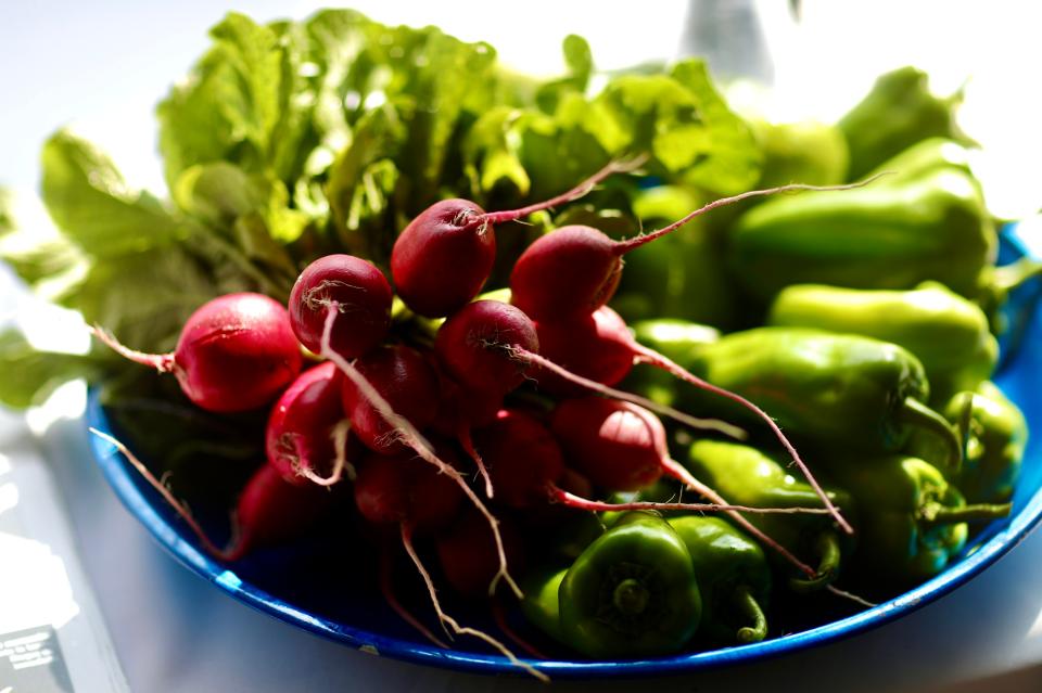 Free download high resolution image - free image free photo free stock image public domain picture  Red radish