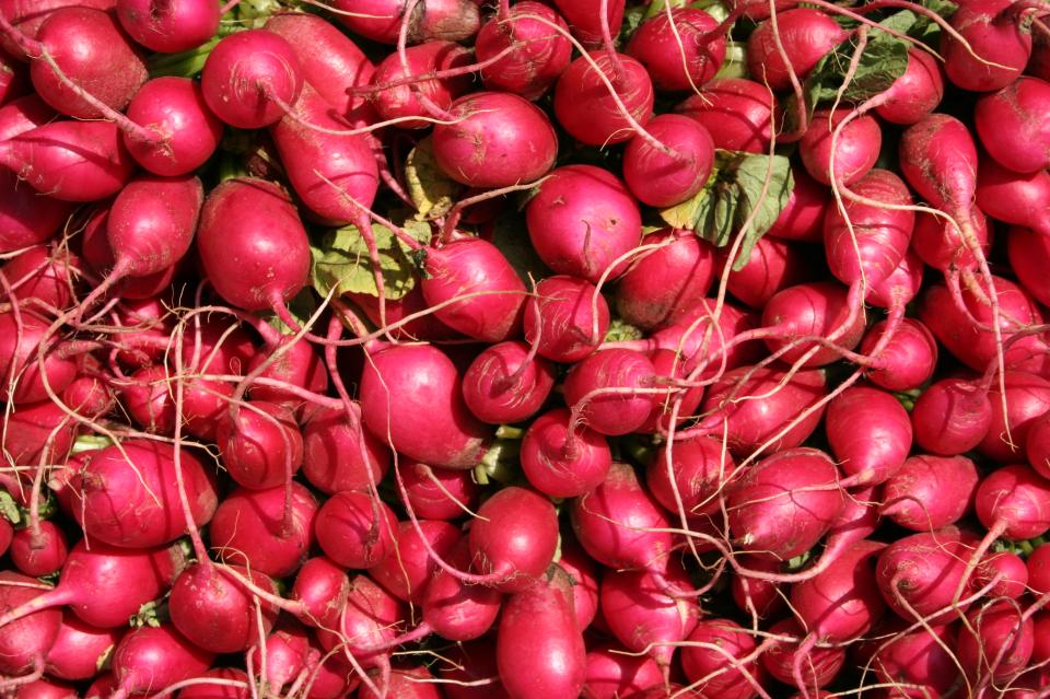 Free download high resolution image - free image free photo free stock image public domain picture  radishes