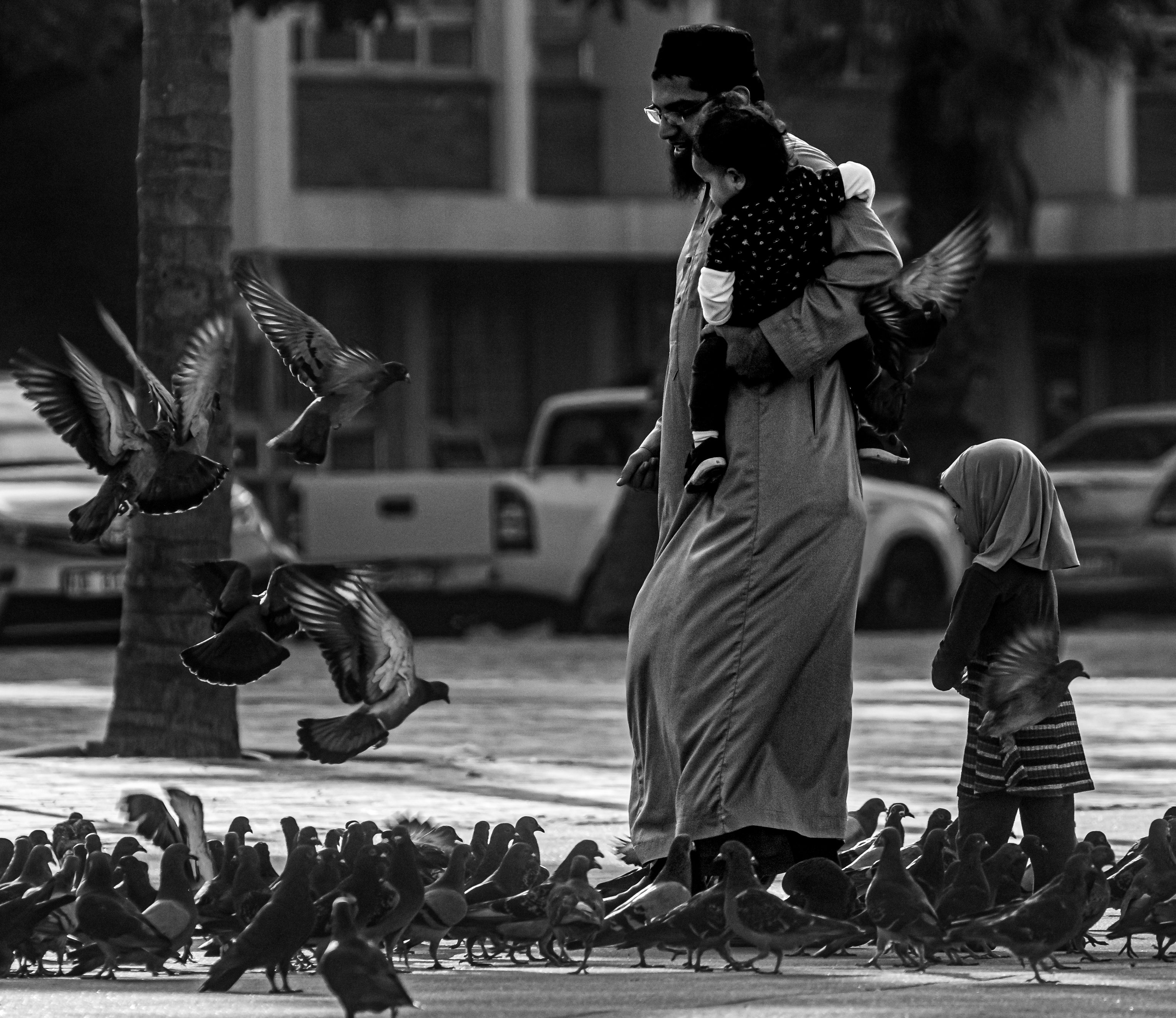 Free download high resolution image - free image free photo free stock image public domain picture -Father and daughter feeding pigeons