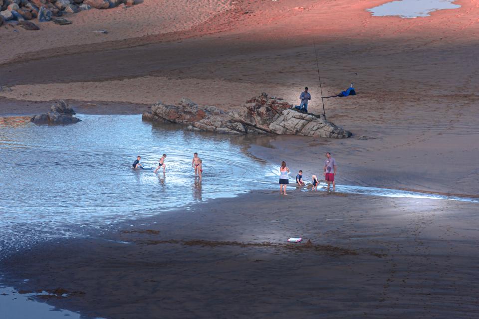 Free download high resolution image - free image free photo free stock image public domain picture  Family playing with pet on the beach