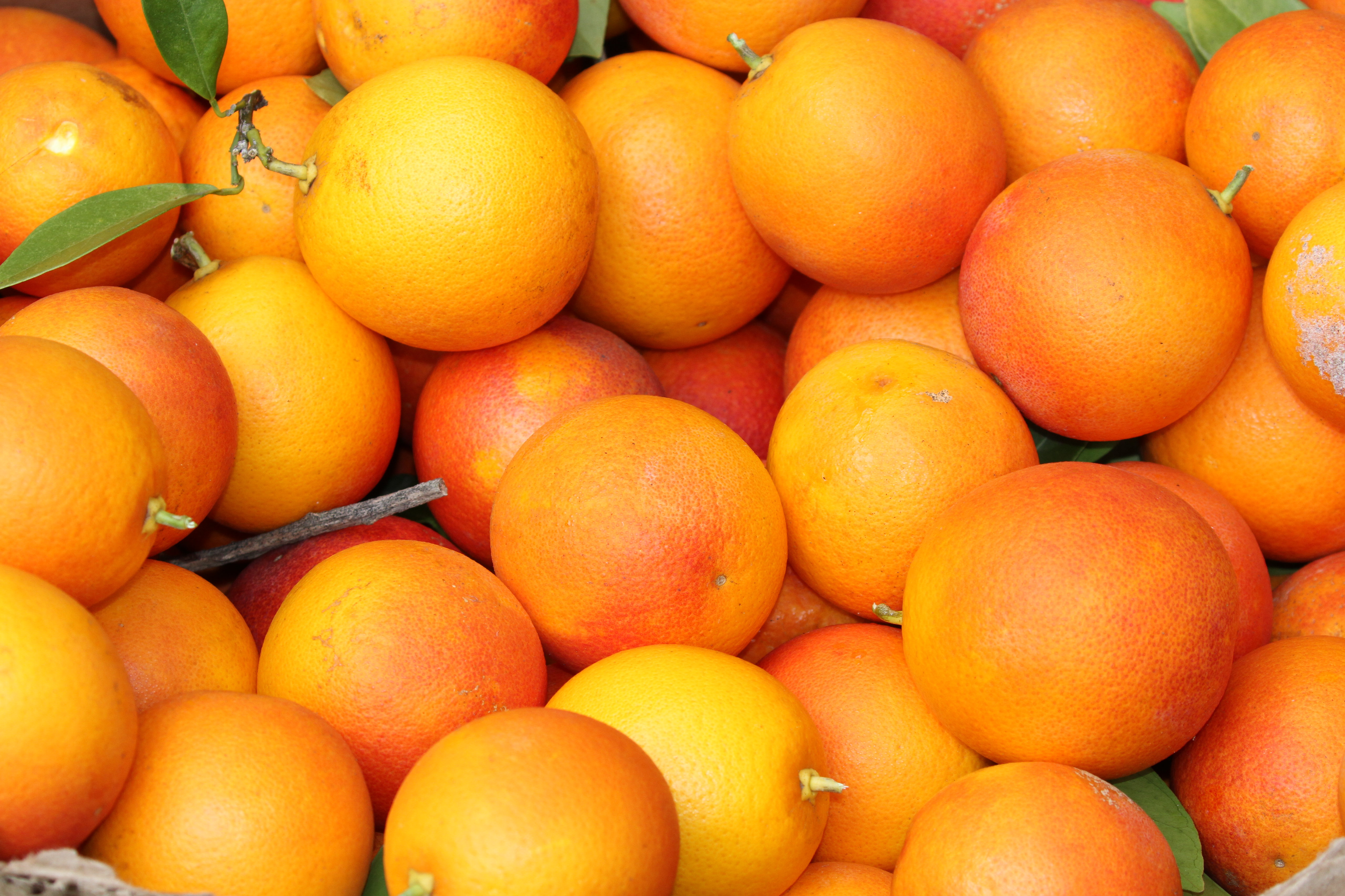 Free download high resolution image - free image free photo free stock image public domain picture -Fresh Oranges