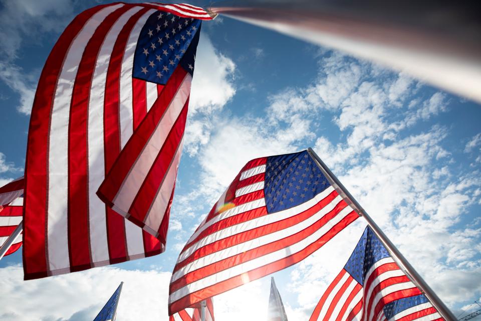 Free download high resolution image - free image free photo free stock image public domain picture  USA Flags