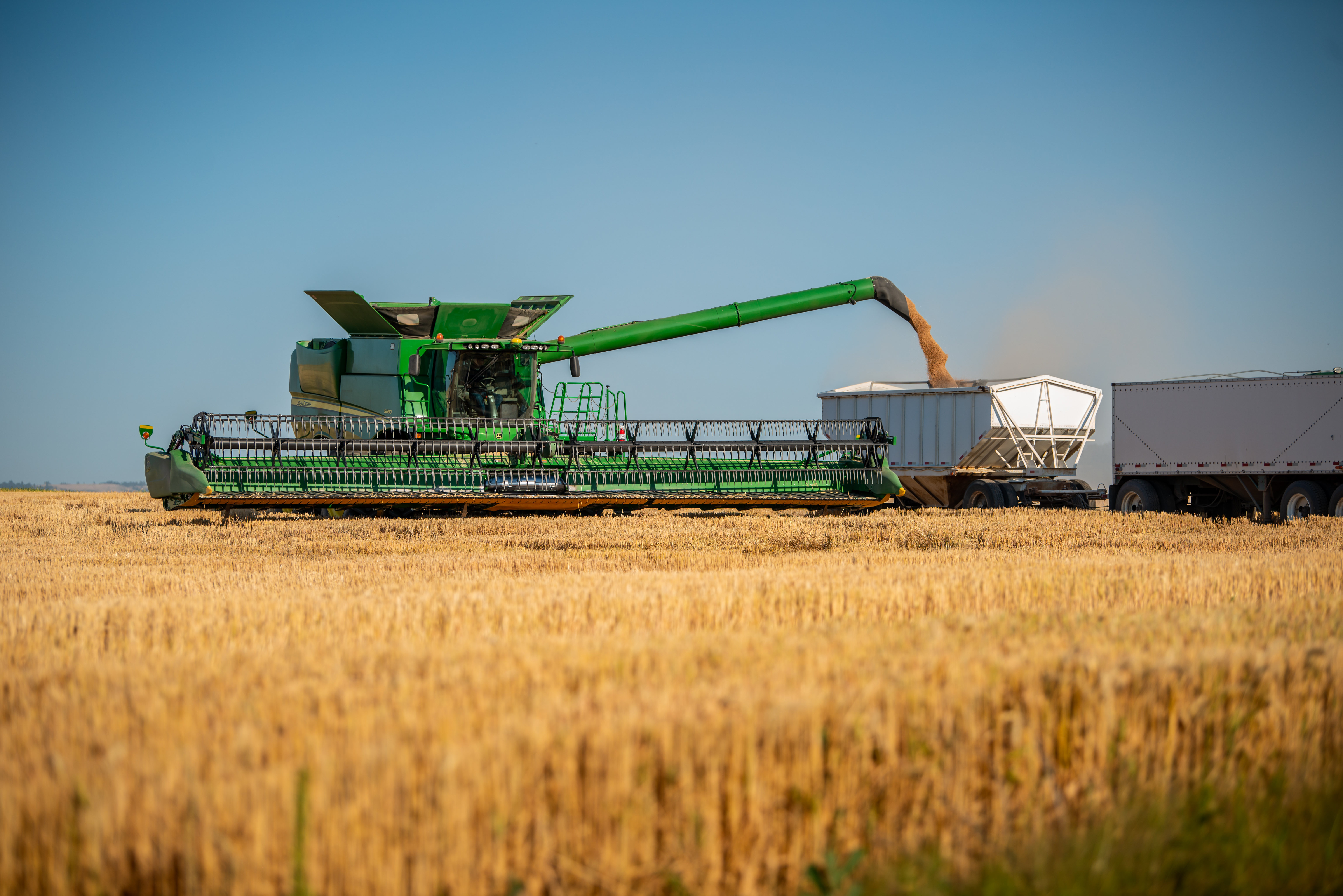 Free download high resolution image - free image free photo free stock image public domain picture -Harvest Ridge Organics harvests wheat