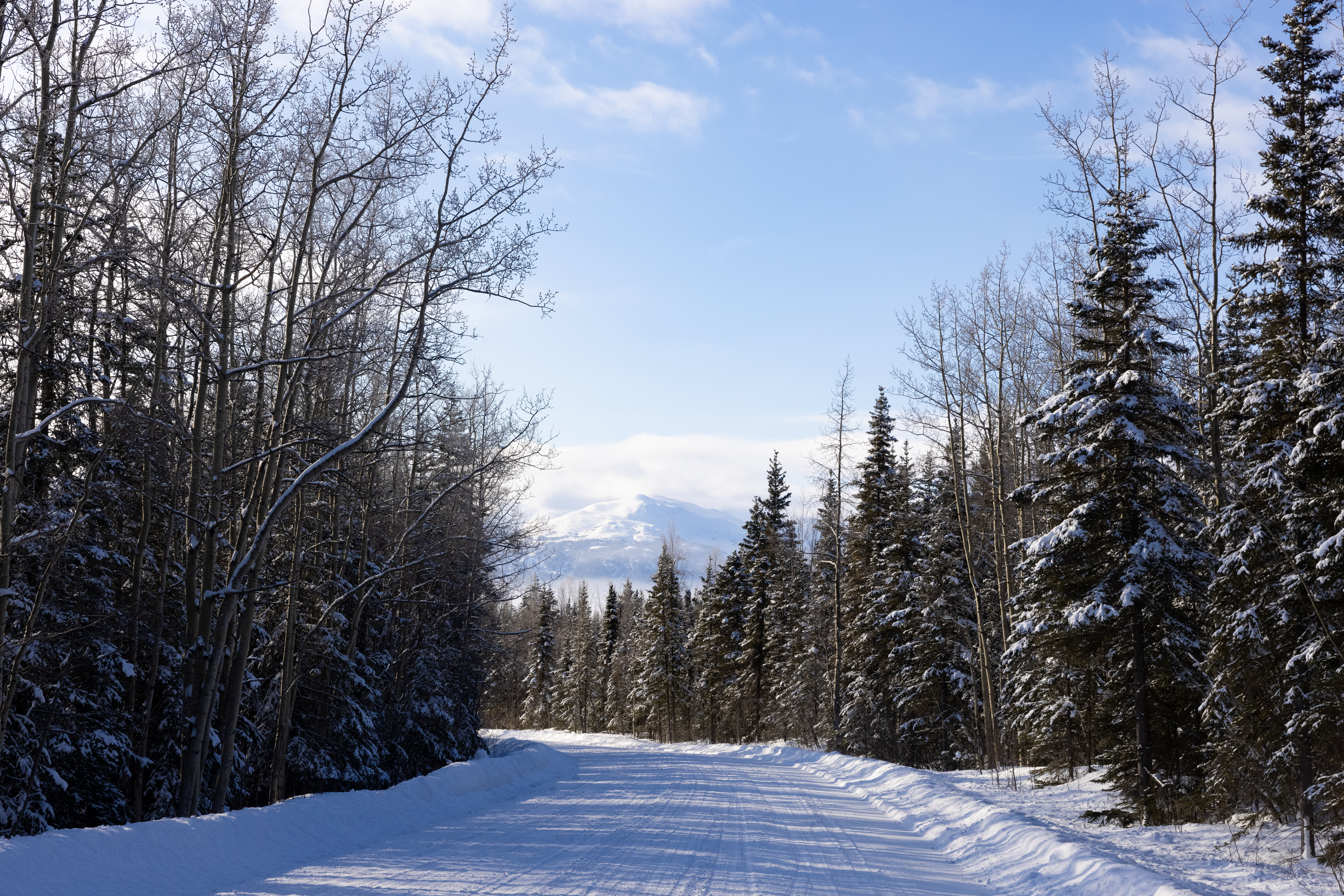 Free download high resolution image - free image free photo free stock image public domain picture -Winter views of the mountains in the Kenai Wilderness