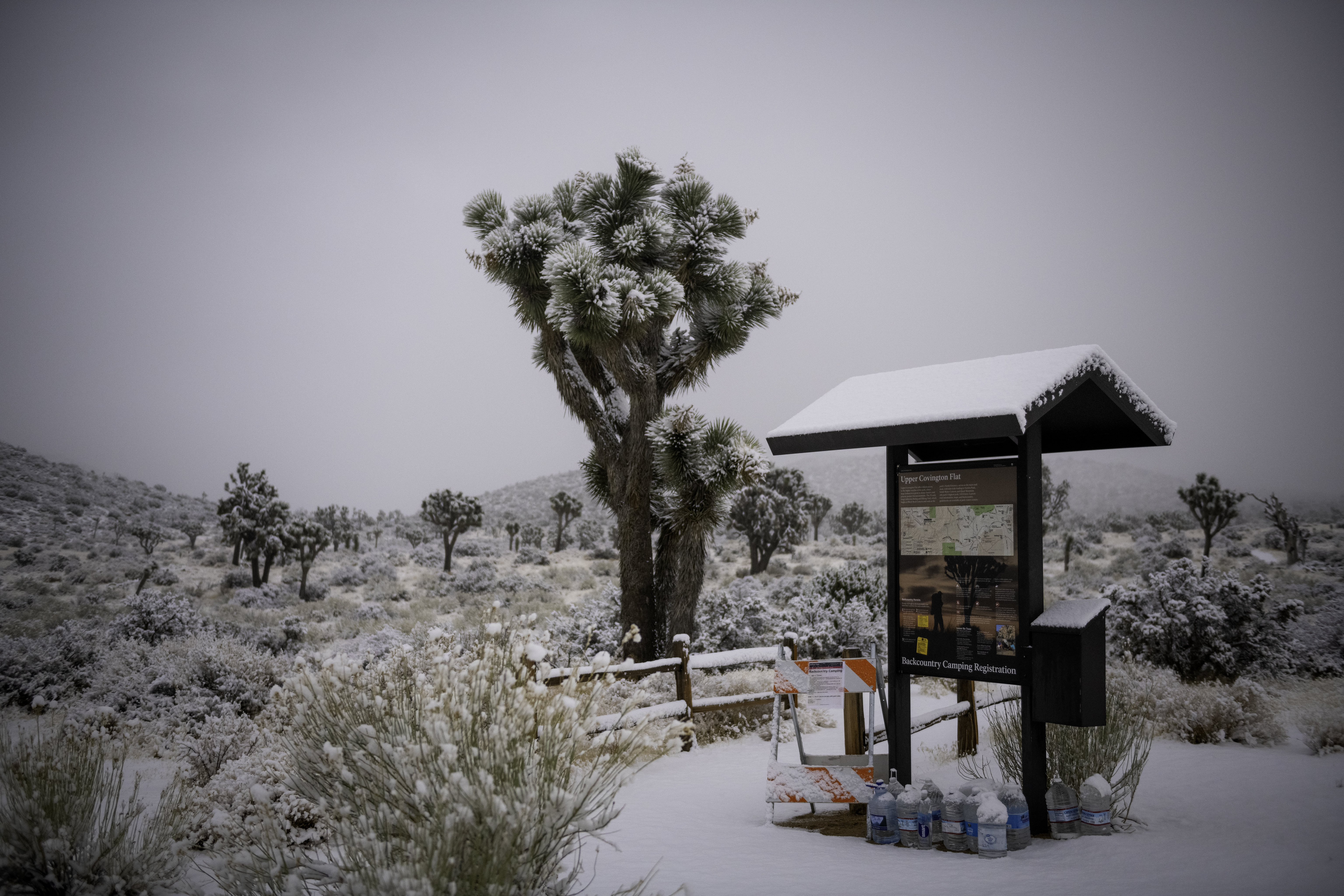 Free download high resolution image - free image free photo free stock image public domain picture -Joshua Tree National Park