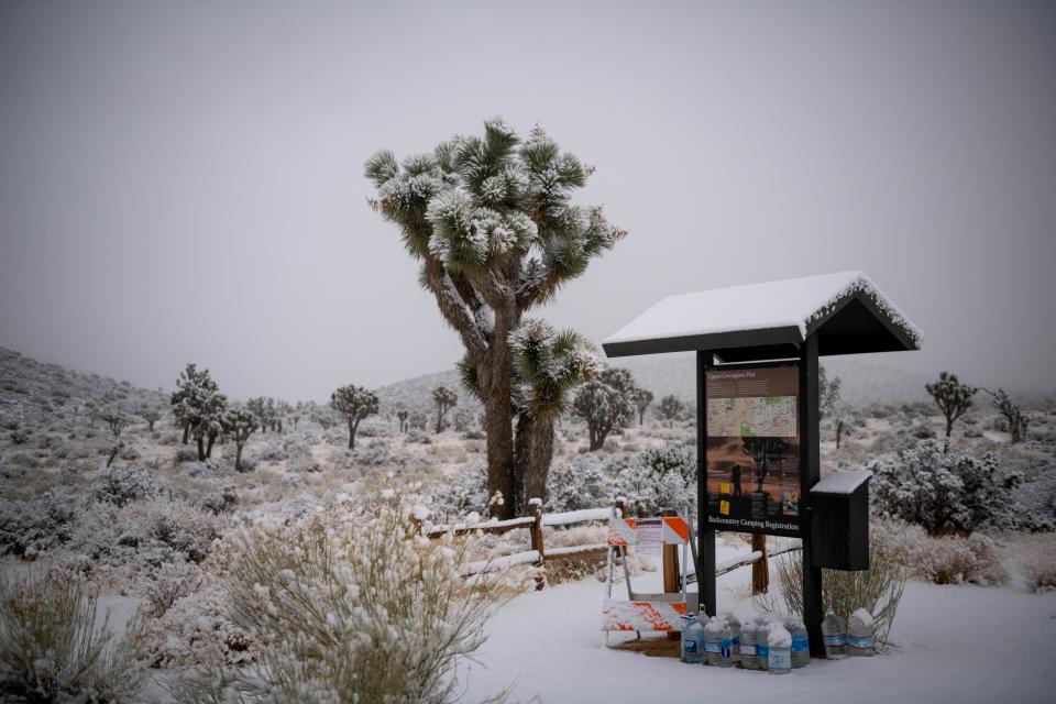 Free download high resolution image - free image free photo free stock image public domain picture  Joshua Tree National Park