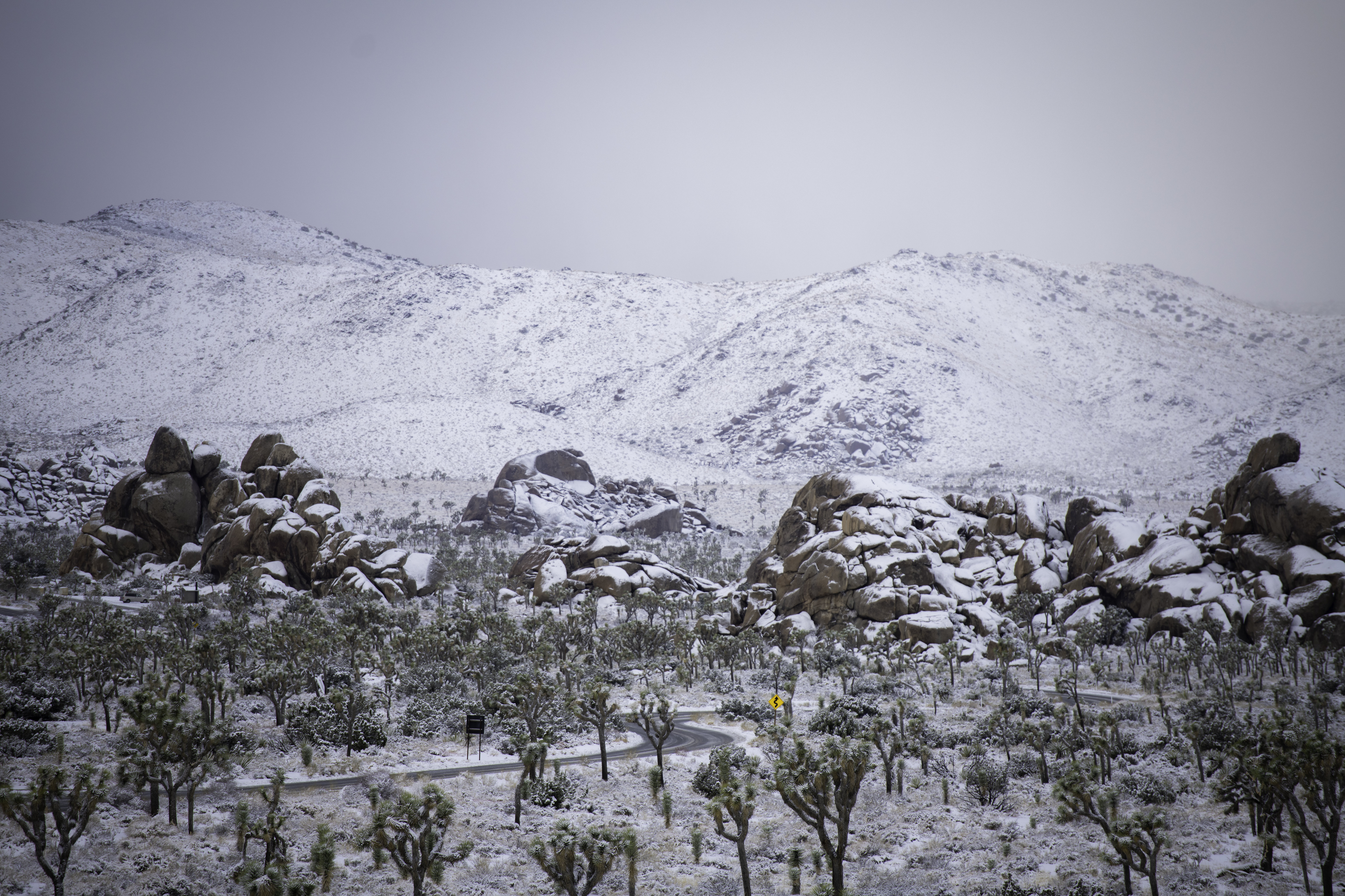 Free download high resolution image - free image free photo free stock image public domain picture -Joshua Tree National Park