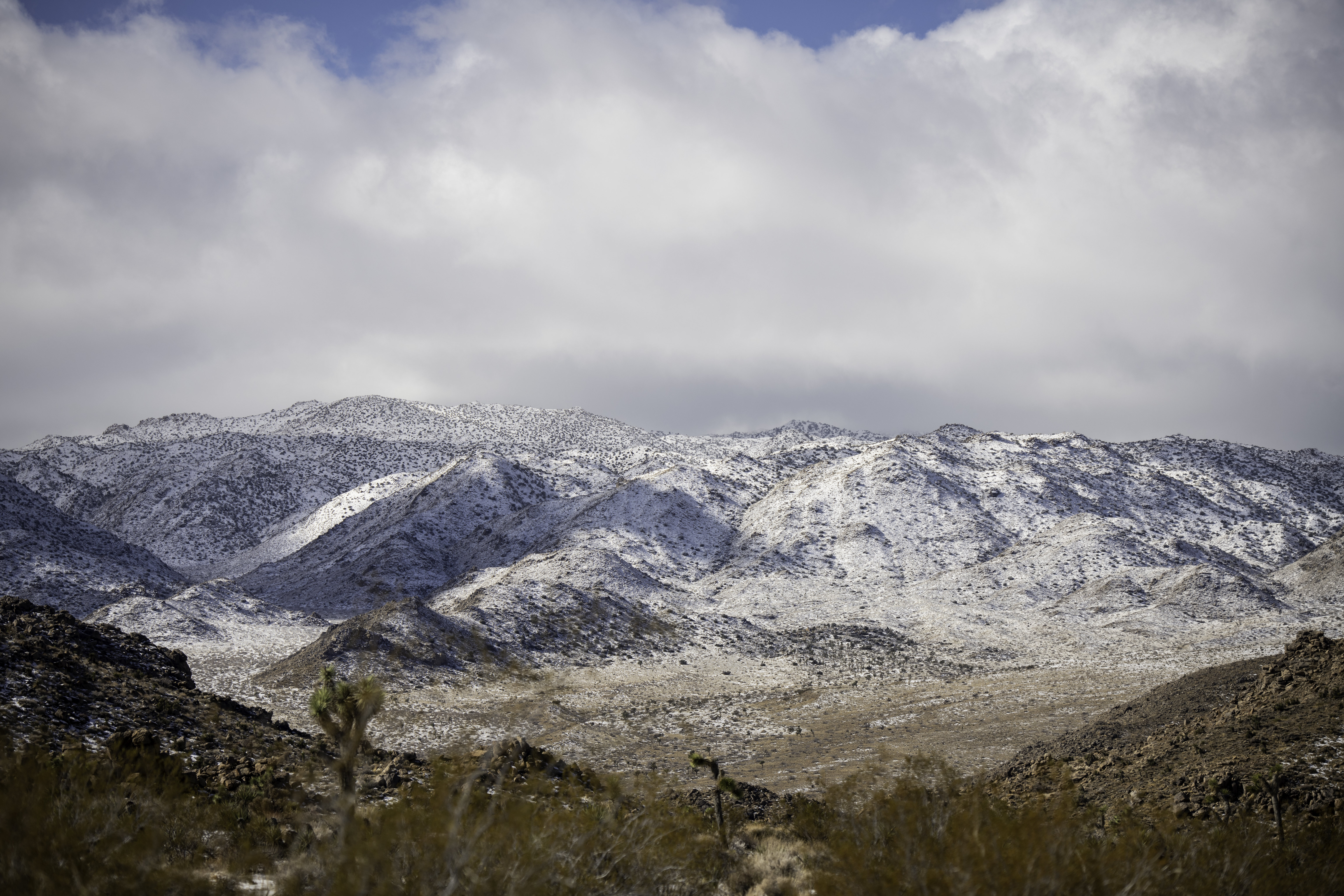 Free download high resolution image - free image free photo free stock image public domain picture -Joshua Tree National Park