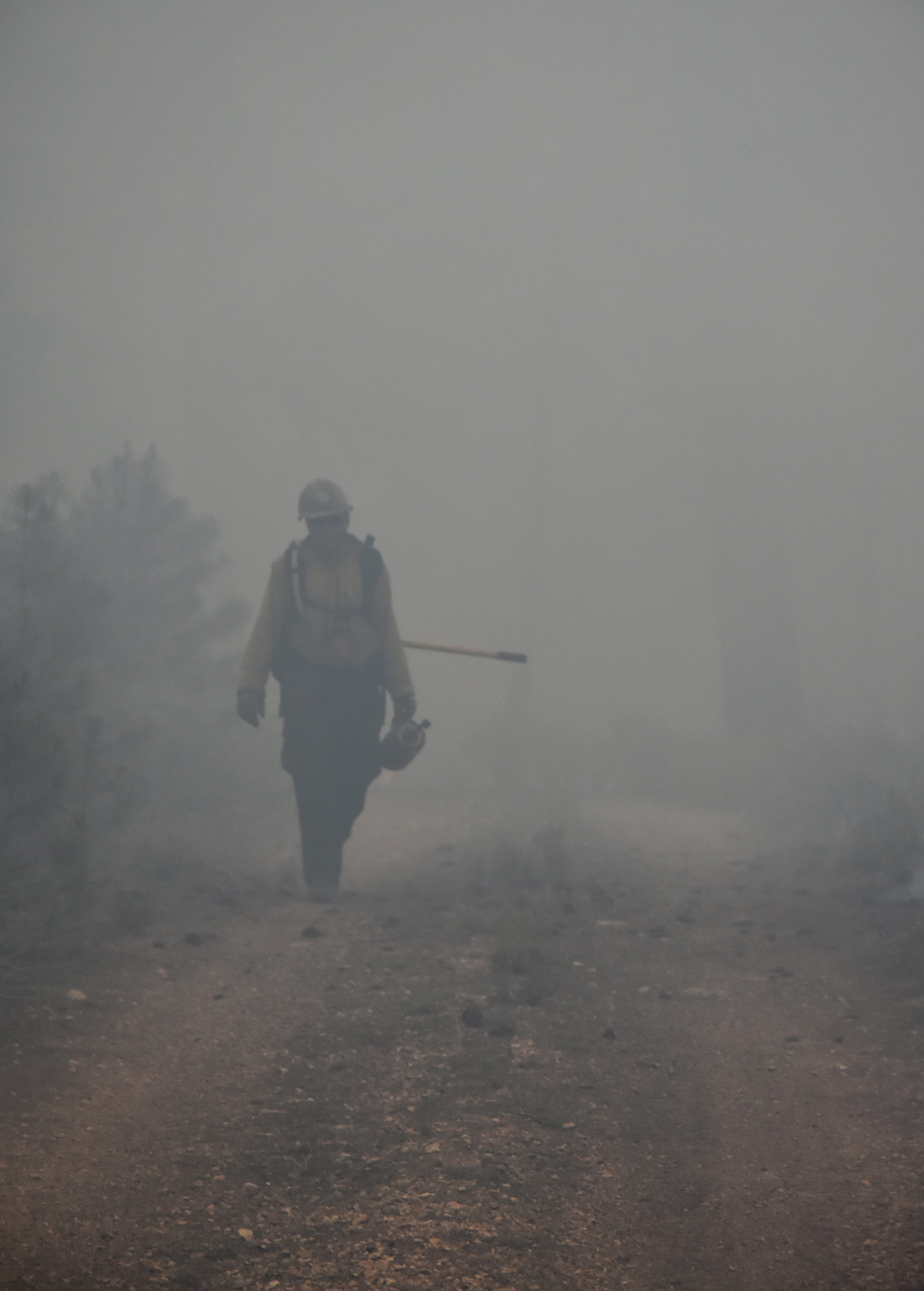 Free download high resolution image - free image free photo free stock image public domain picture -Firefighter walking down the forest