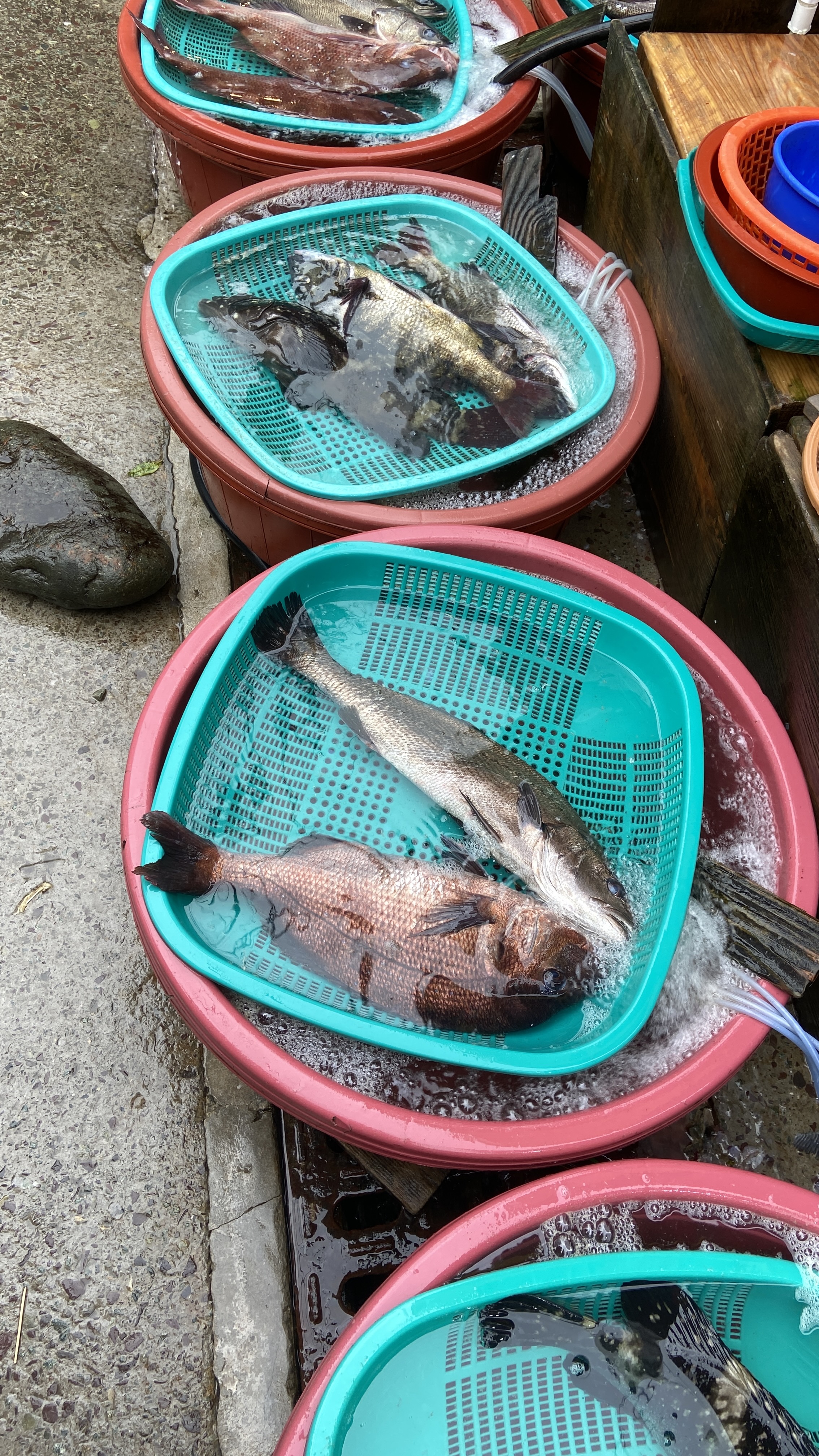 Free download high resolution image - free image free photo free stock image public domain picture -Raw fish market in Tongyeong