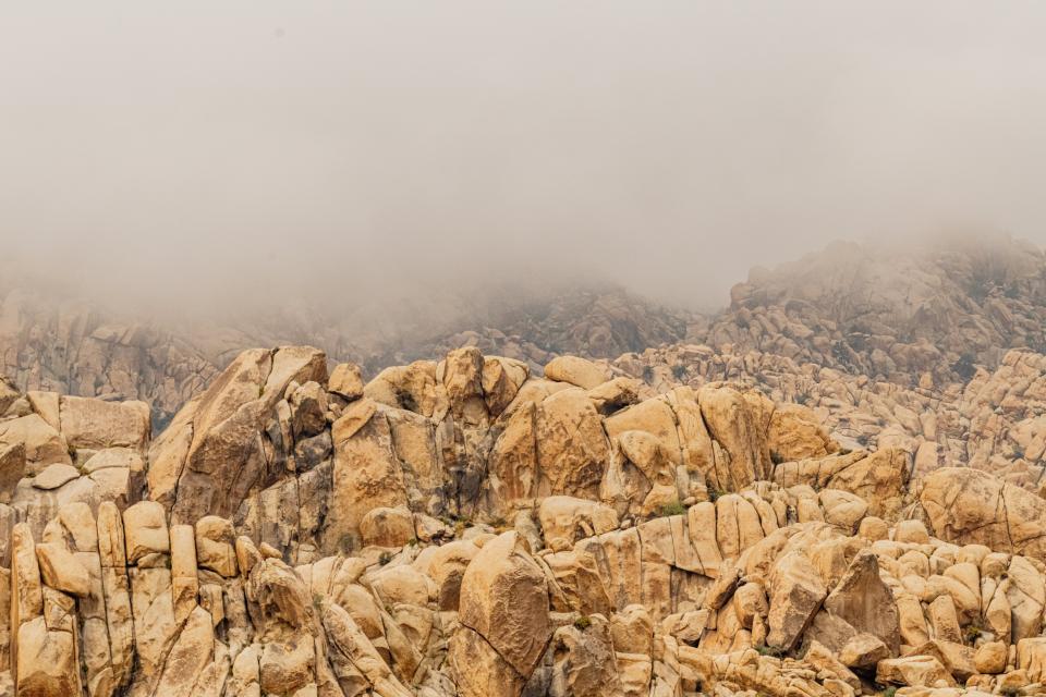 Free download high resolution image - free image free photo free stock image public domain picture  Joshua Tree National Park