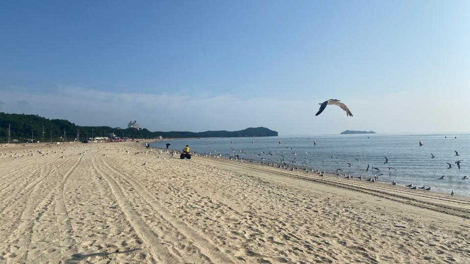 Free download high resolution image - free image free photo free stock image public domain picture  Kkotji Beach in the Anmyeon island