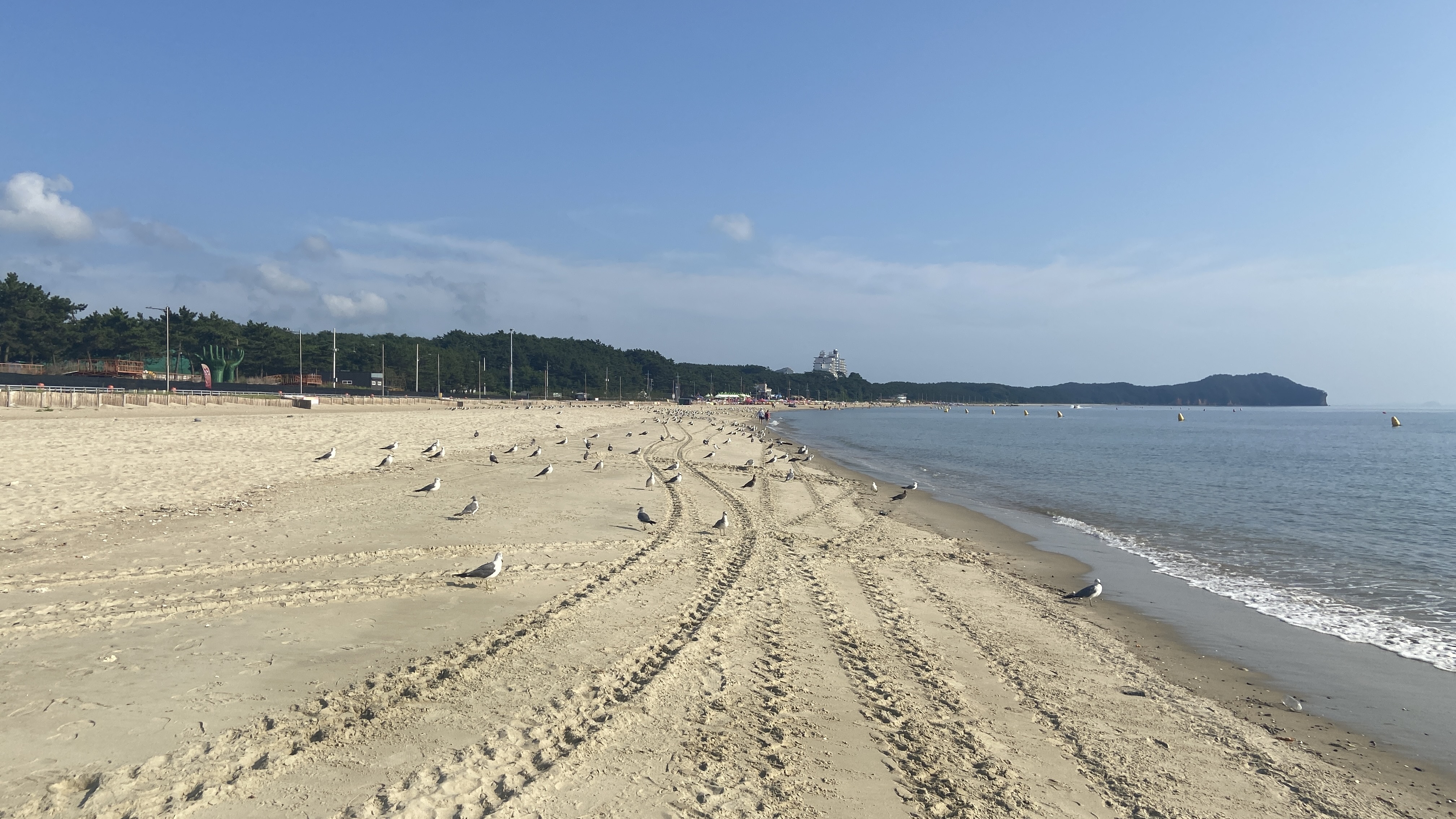 Free download high resolution image - free image free photo free stock image public domain picture -Kkotji Beach in the Anmyeon island