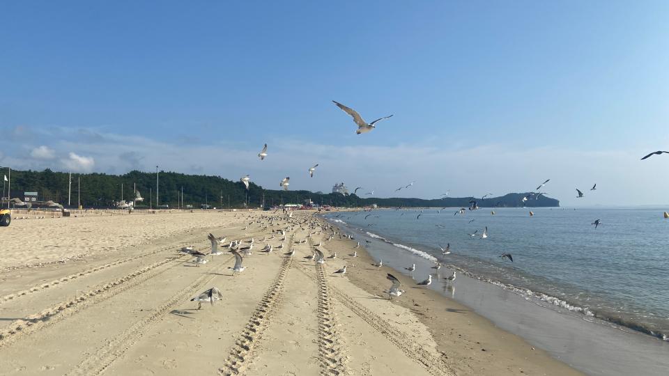 Free download high resolution image - free image free photo free stock image public domain picture  Kkotji Beach in the Anmyeon island