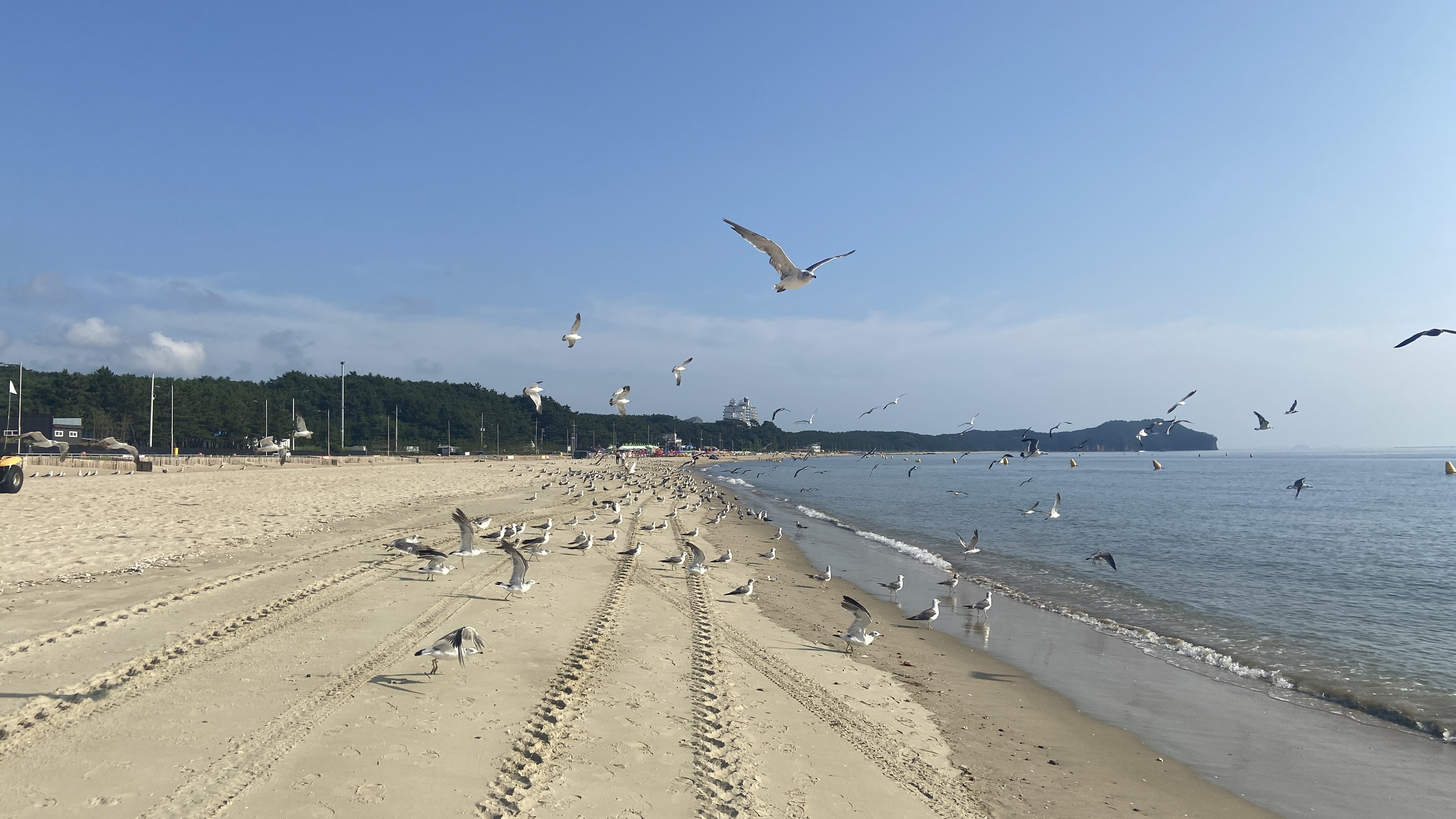 Free download high resolution image - free image free photo free stock image public domain picture -Kkotji Beach in the Anmyeon island