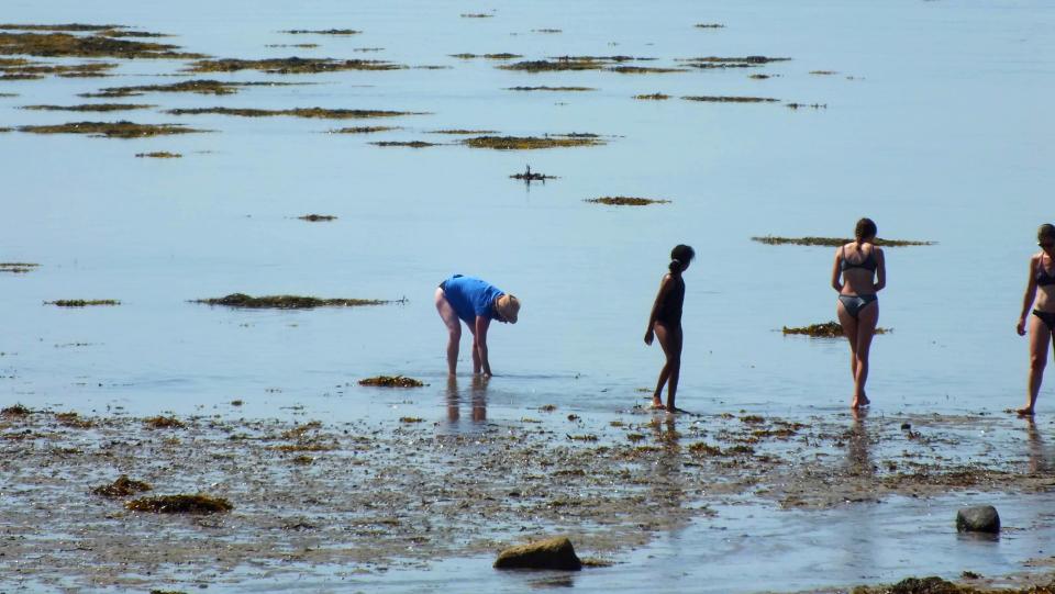 Free download high resolution image - free image free photo free stock image public domain picture  People enyoing a hot summer day on Sword Beach