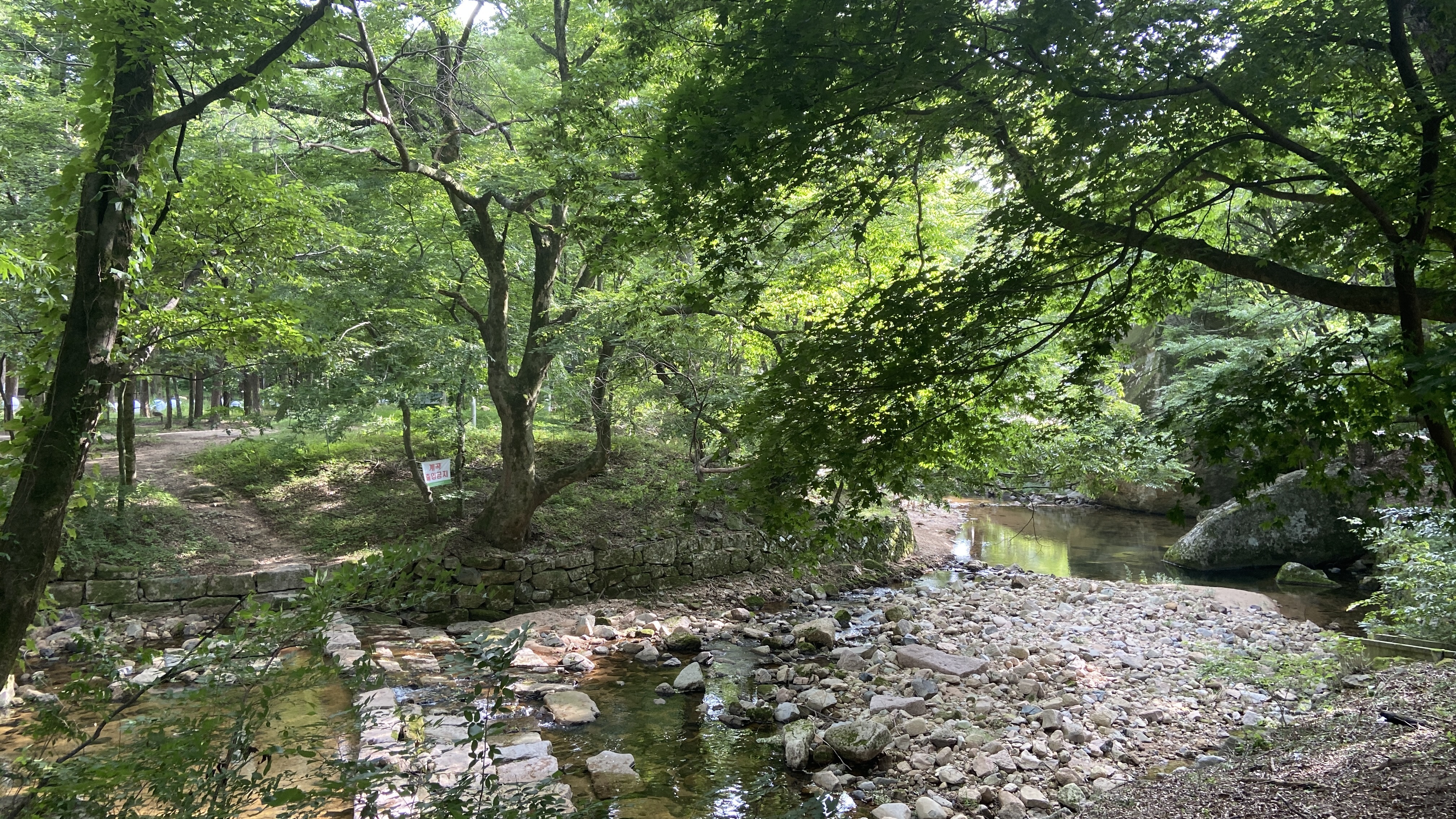 Free download high resolution image - free image free photo free stock image public domain picture -Songnisan National Park in South Korea