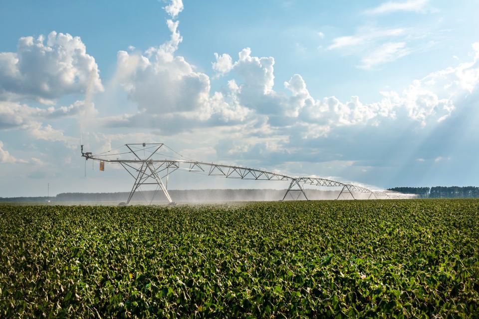 Free download high resolution image - free image free photo free stock image public domain picture  Irrigation in Cotton Field