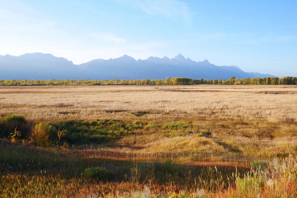 Free download high resolution image - free image free photo free stock image public domain picture  Autumn on the National Elk Refuge