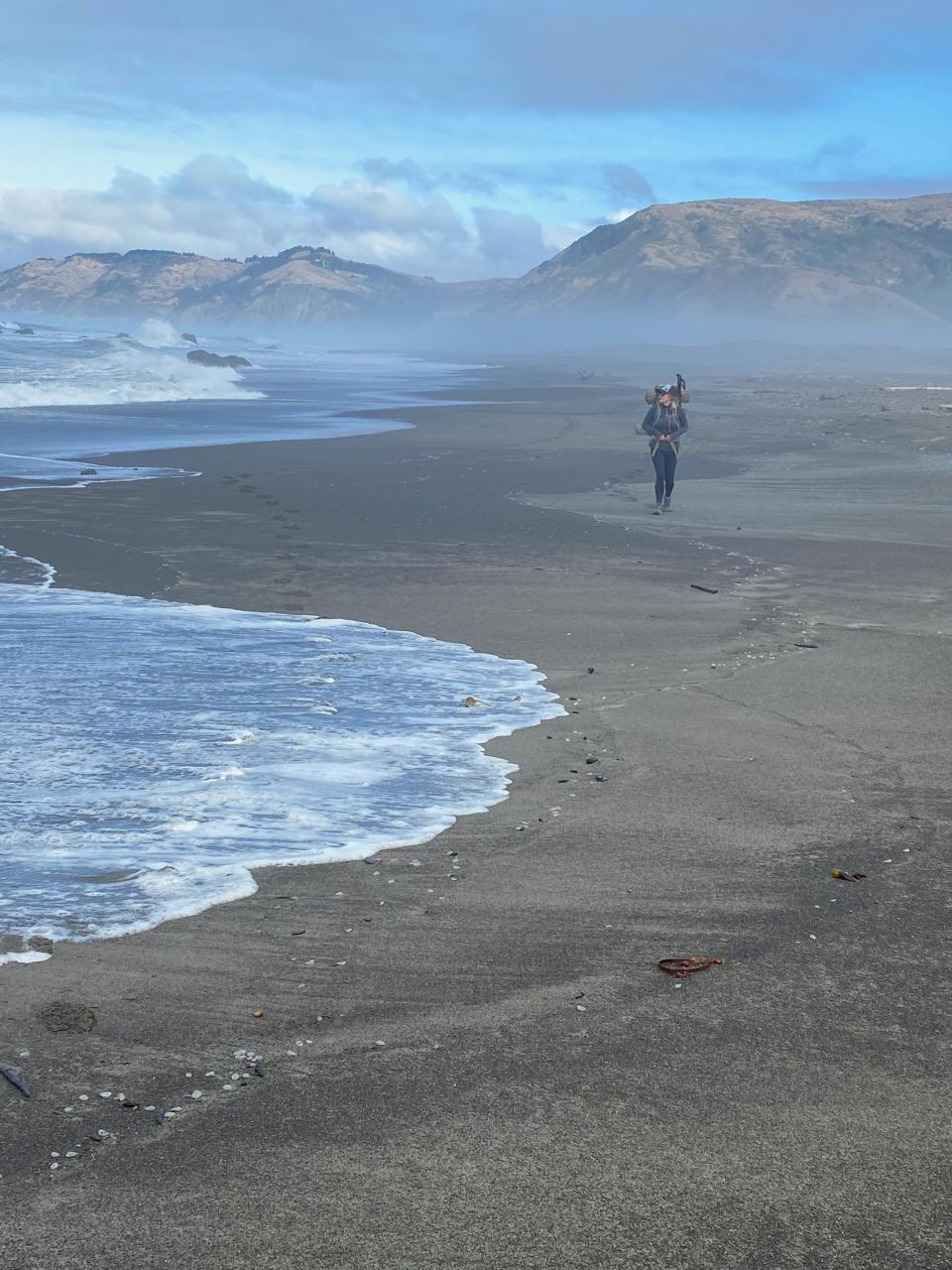 Free download high resolution image - free image free photo free stock image public domain picture  Hiking Lost Coast