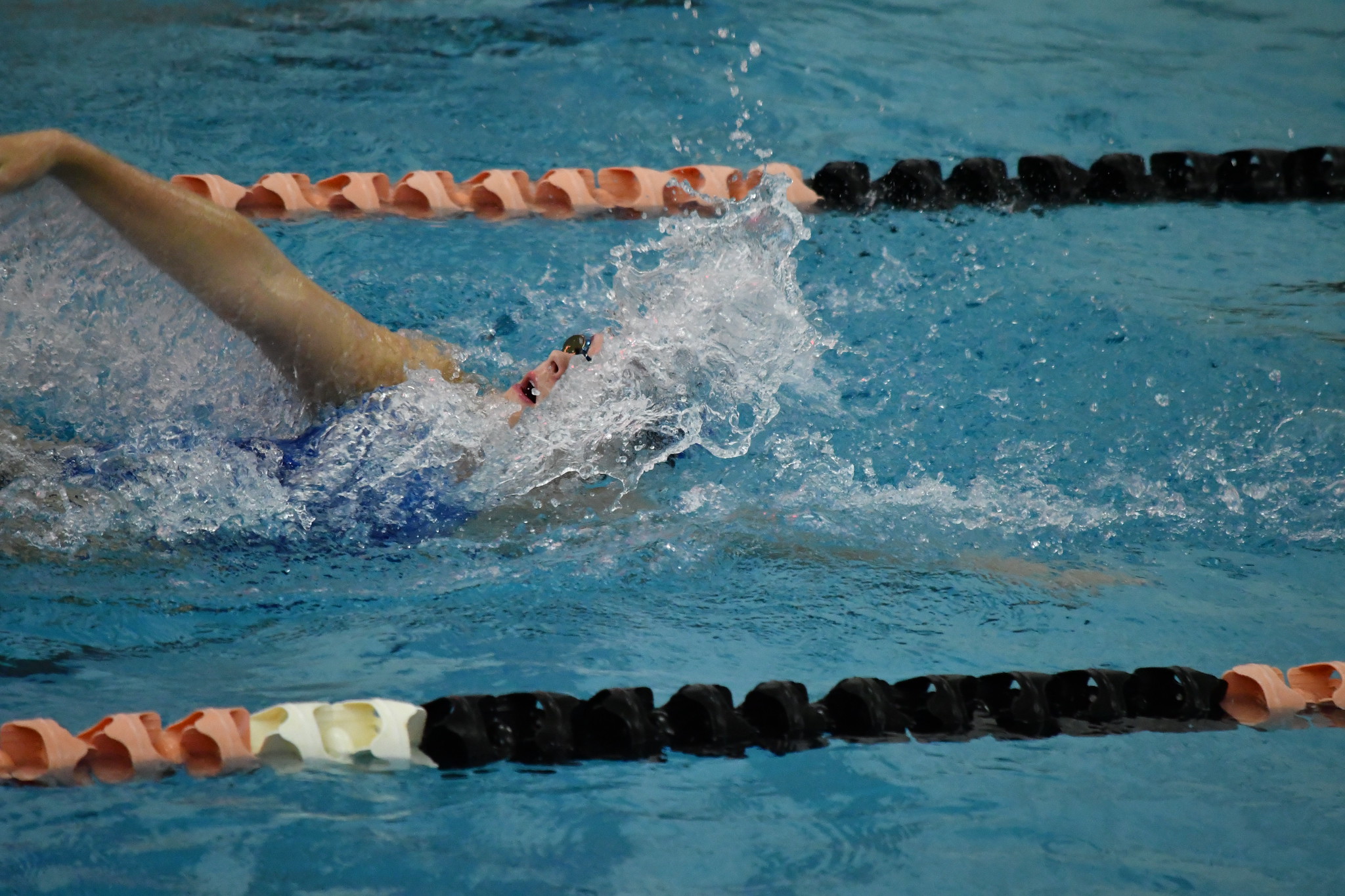 Free download high resolution image - free image free photo free stock image public domain picture -Professional swimmer, swimming race, indoor pool