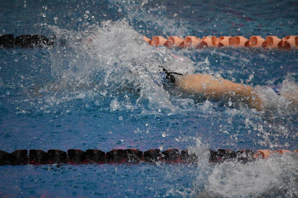 Free download high resolution image - free image free photo free stock image public domain picture  Professional swimmer, swimming race, indoor pool