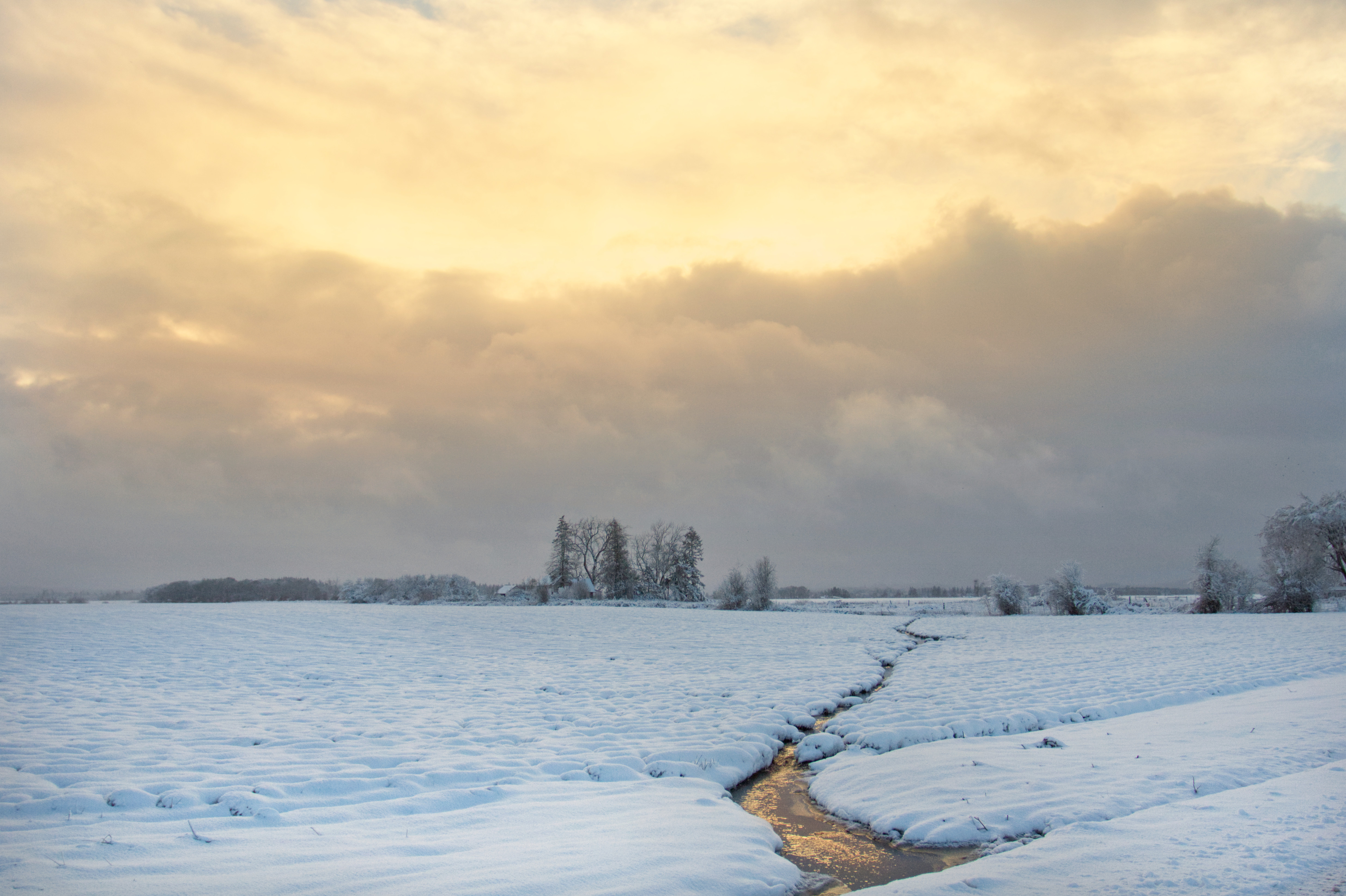 Free download high resolution image - free image free photo free stock image public domain picture -Snow in the Willamette Valley