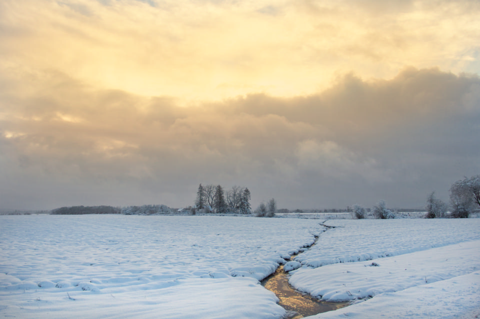 Free download high resolution image - free image free photo free stock image public domain picture  Snow in the Willamette Valley