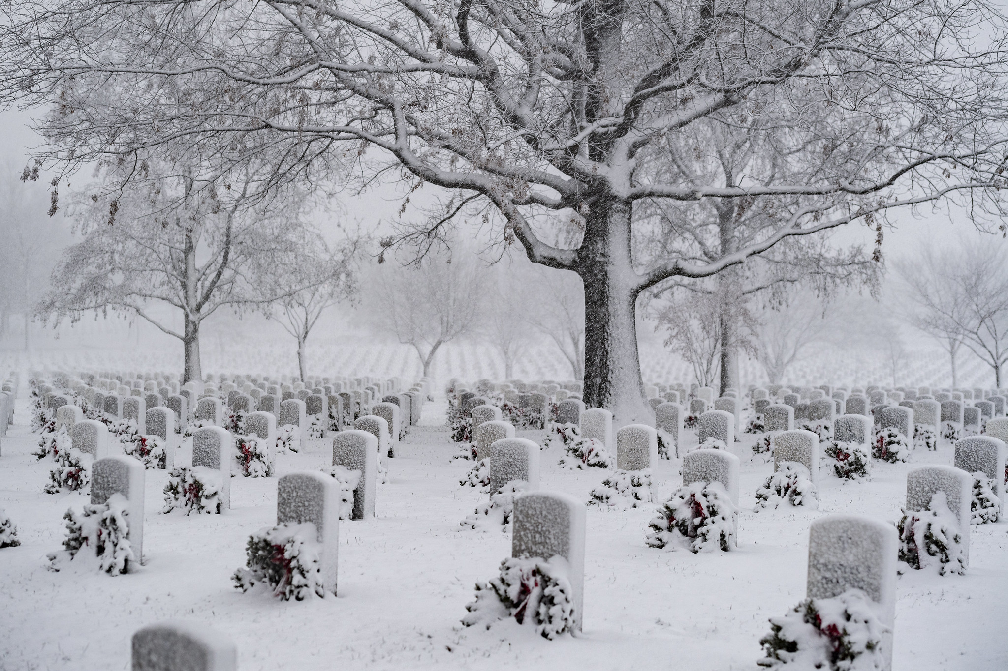 Free download high resolution image - free image free photo free stock image public domain picture -Arlington National Cemetery