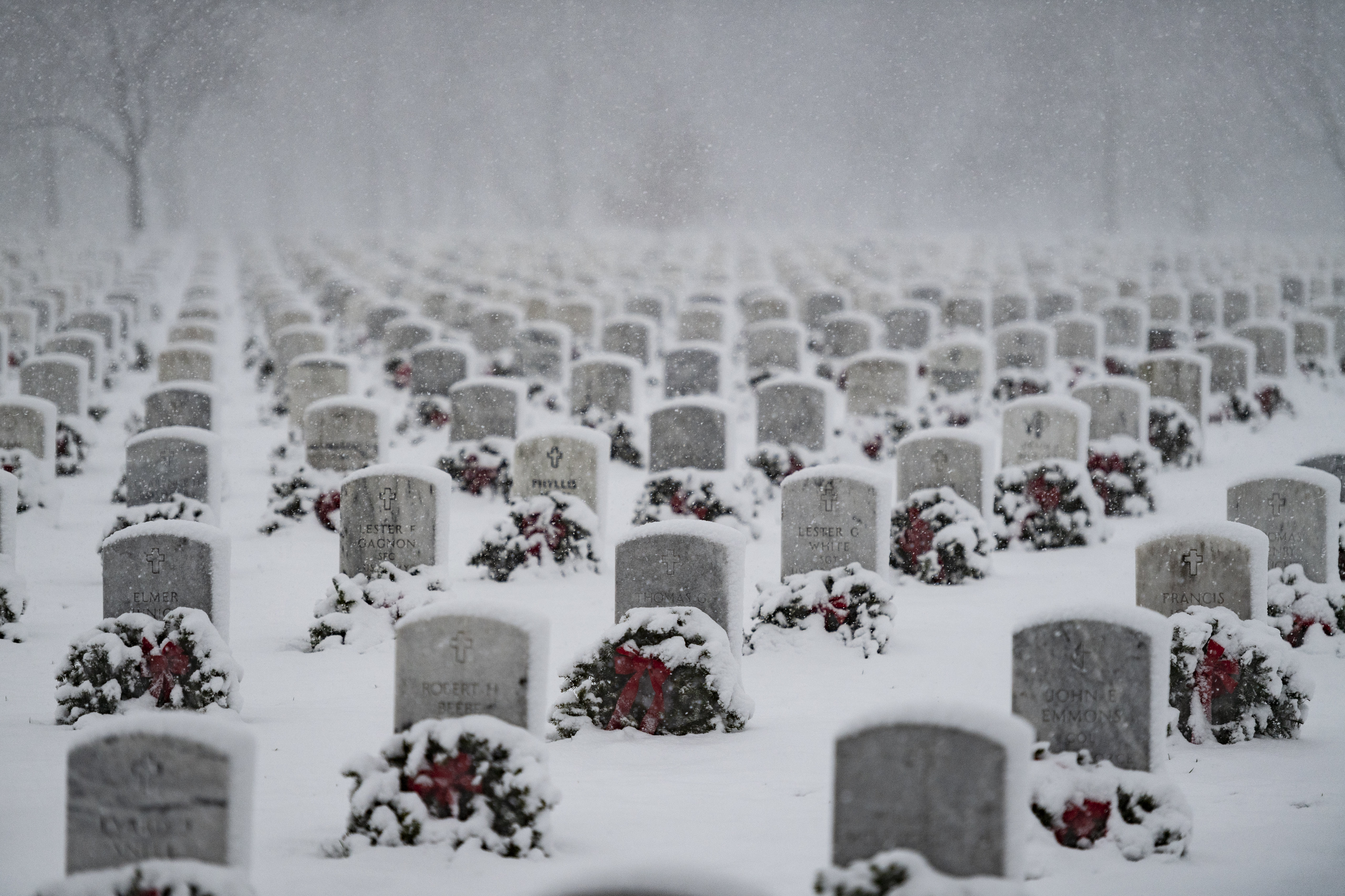 Free download high resolution image - free image free photo free stock image public domain picture -Arlington National Cemetery