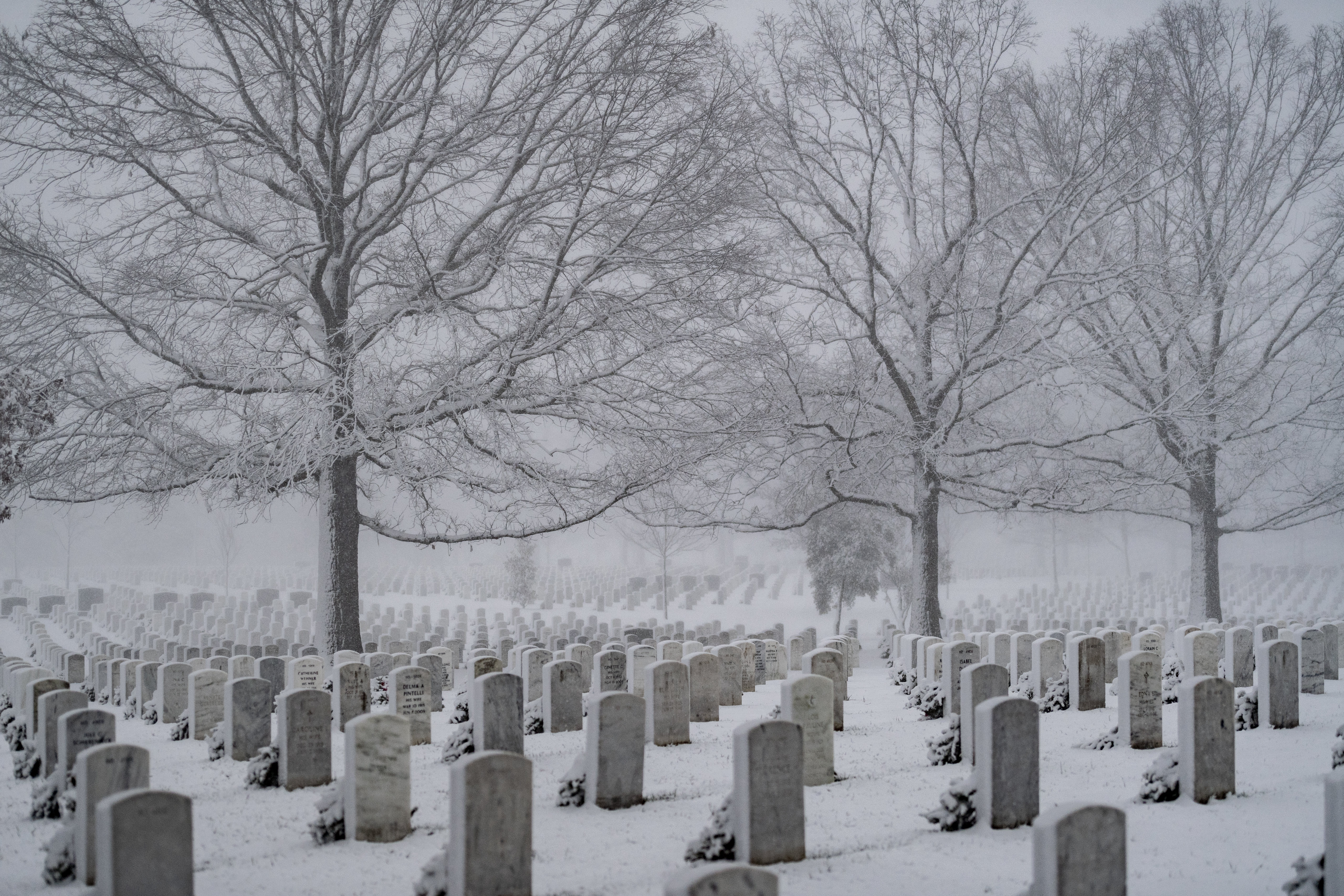 Free download high resolution image - free image free photo free stock image public domain picture -Arlington National Cemetery