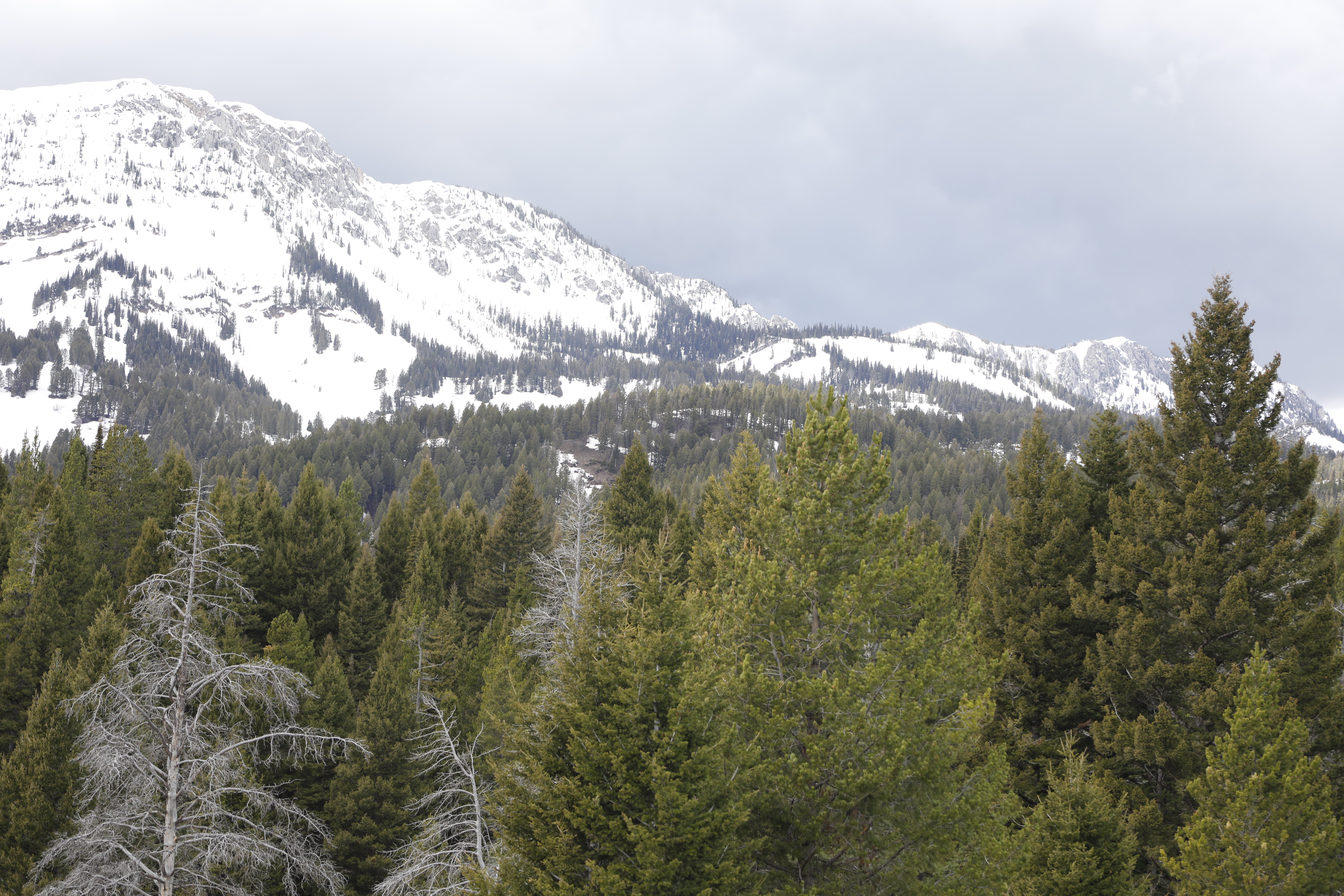 Free download high resolution image - free image free photo free stock image public domain picture -Forest Service Northern Region