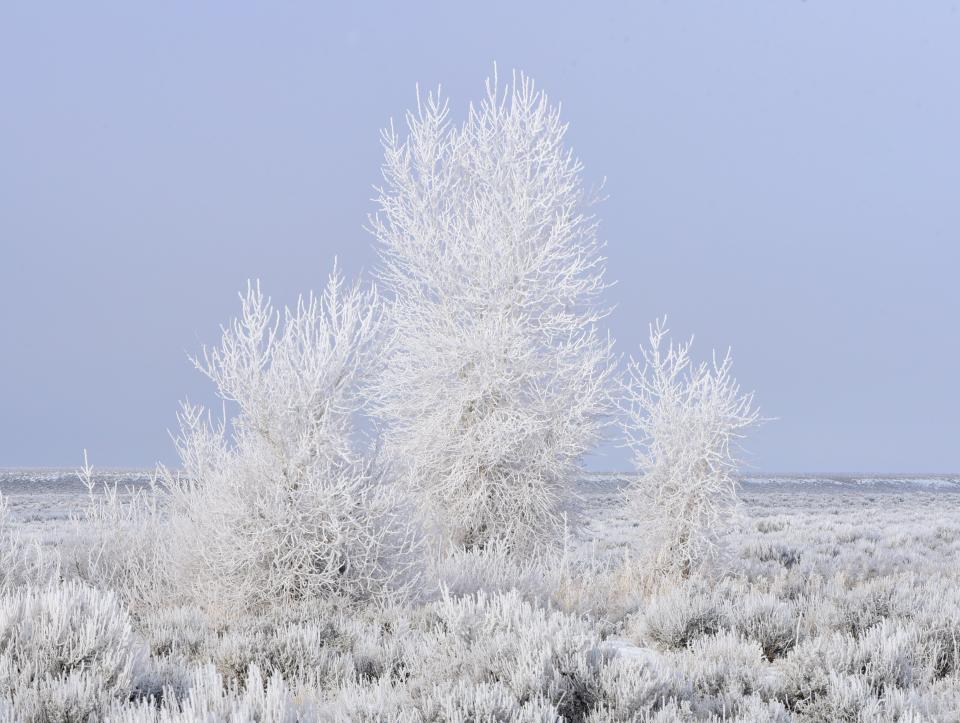 Free download high resolution image - free image free photo free stock image public domain picture  Seedskadee National Wildlife Refuge