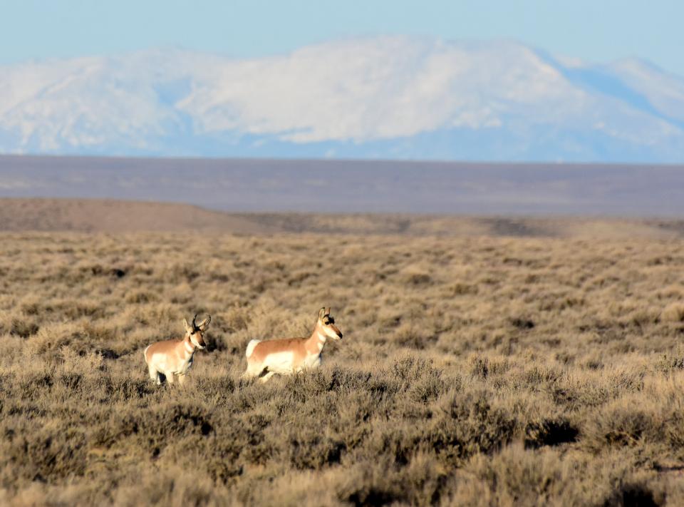 Free download high resolution image - free image free photo free stock image public domain picture  Seedskadee National Wildlife Refuge