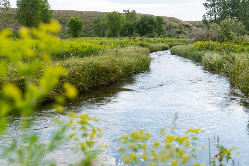 Free download high resolution image - free image free photo free stock image public domain picture  Spring Creek runs through private lands