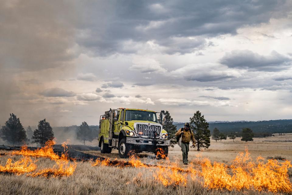 Free download high resolution image - free image free photo free stock image public domain picture  Firefighters from Forest Service