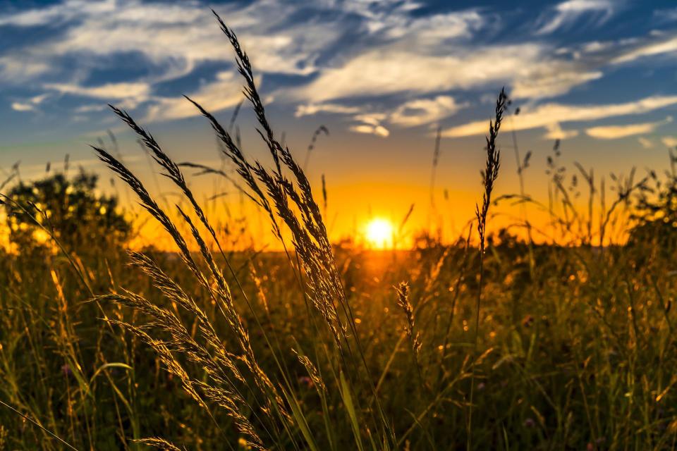 Free download high resolution image - free image free photo free stock image public domain picture  Sunset In Village Field