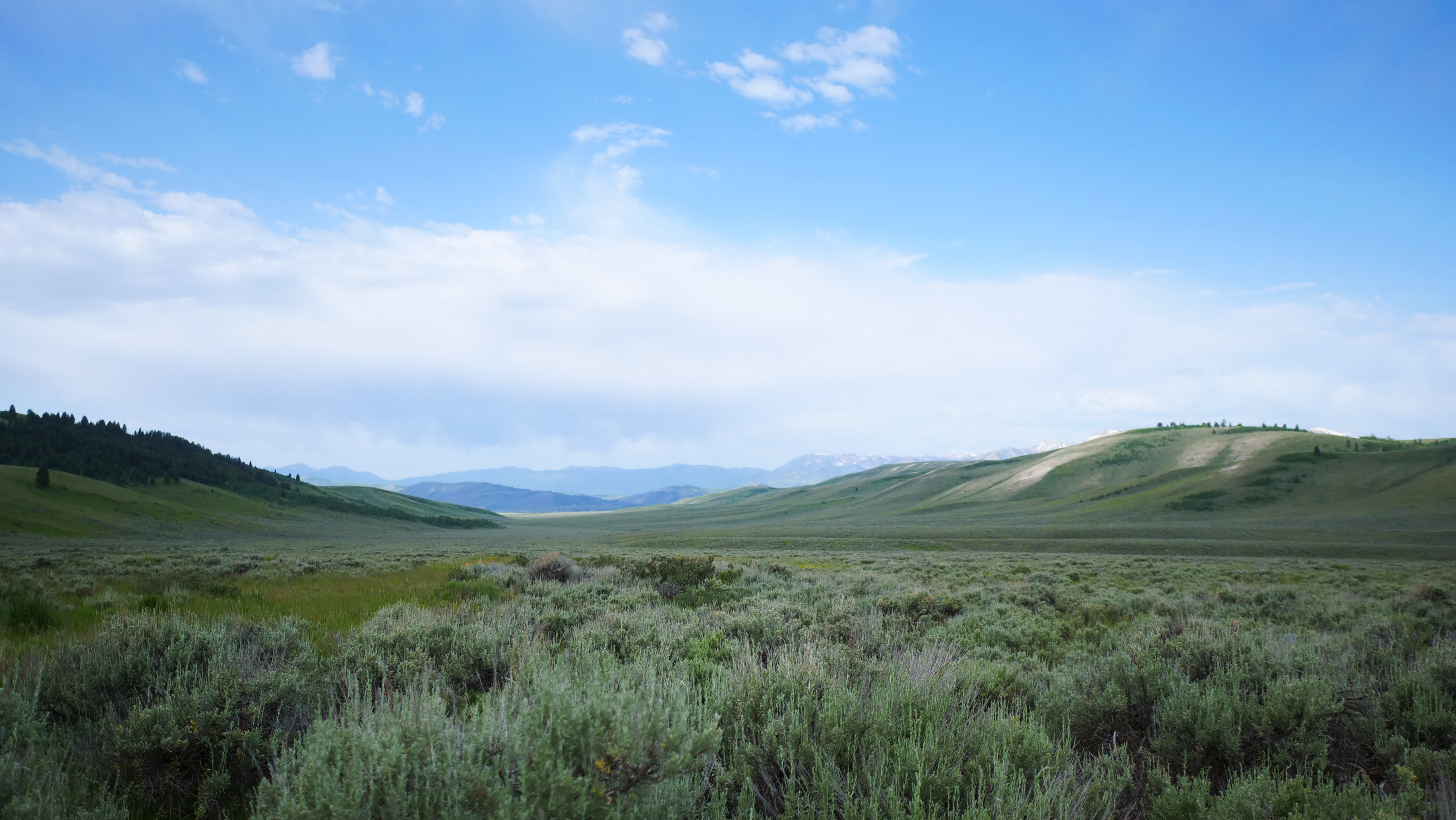 Free download high resolution image - free image free photo free stock image public domain picture -National Elk Refuge