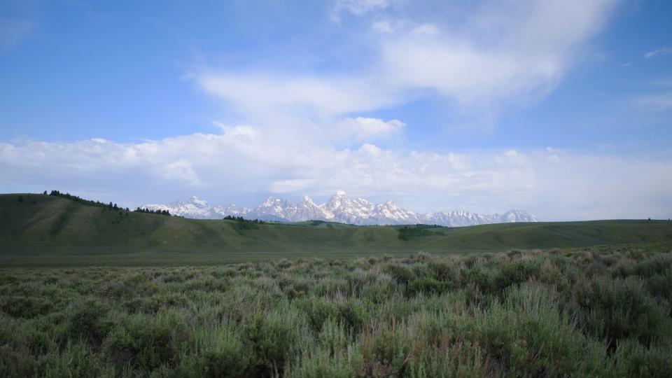 Free download high resolution image - free image free photo free stock image public domain picture  National Elk Refuge