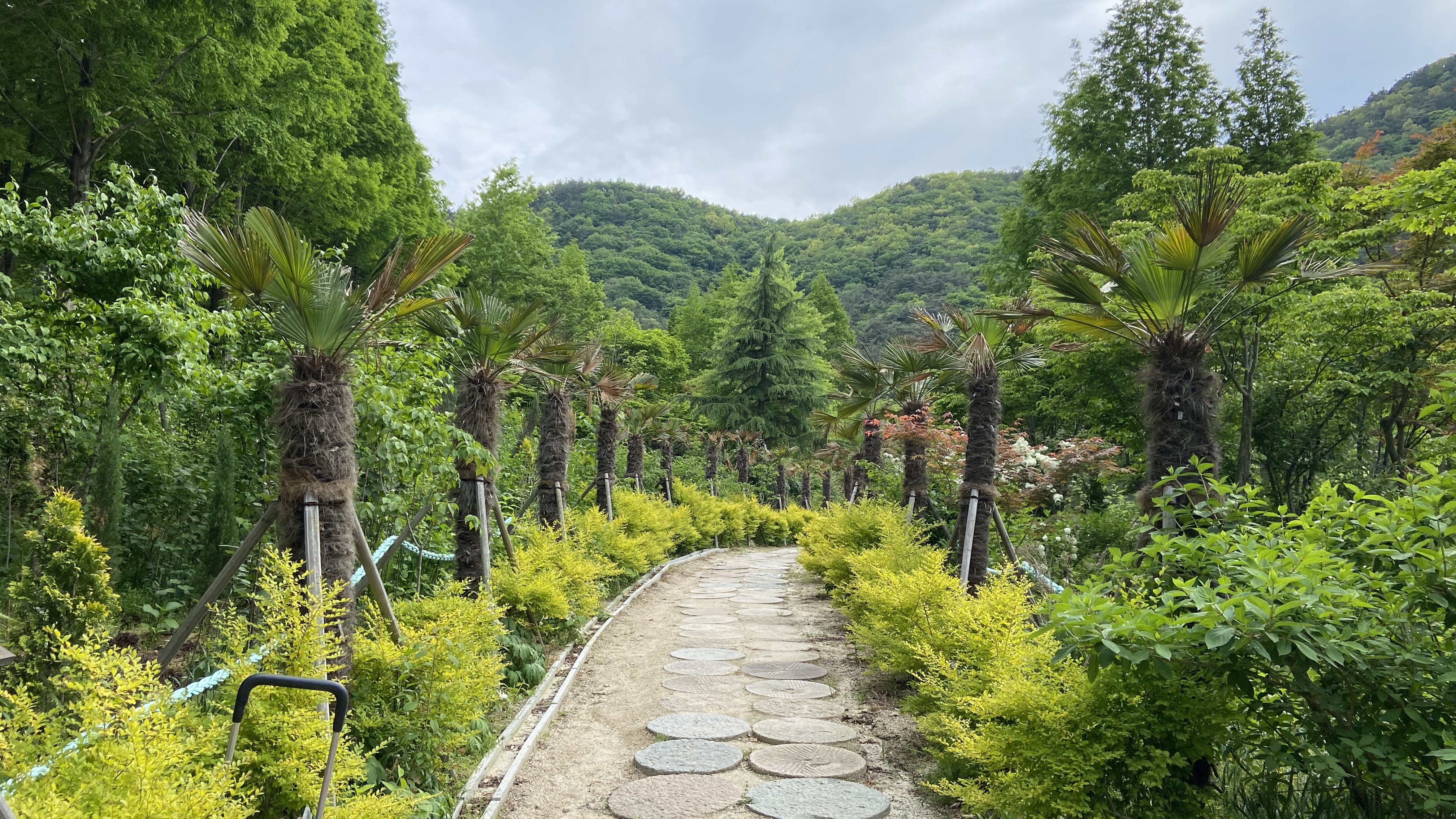 Free download high resolution image - free image free photo free stock image public domain picture -Grace Garden Goseong South Korea